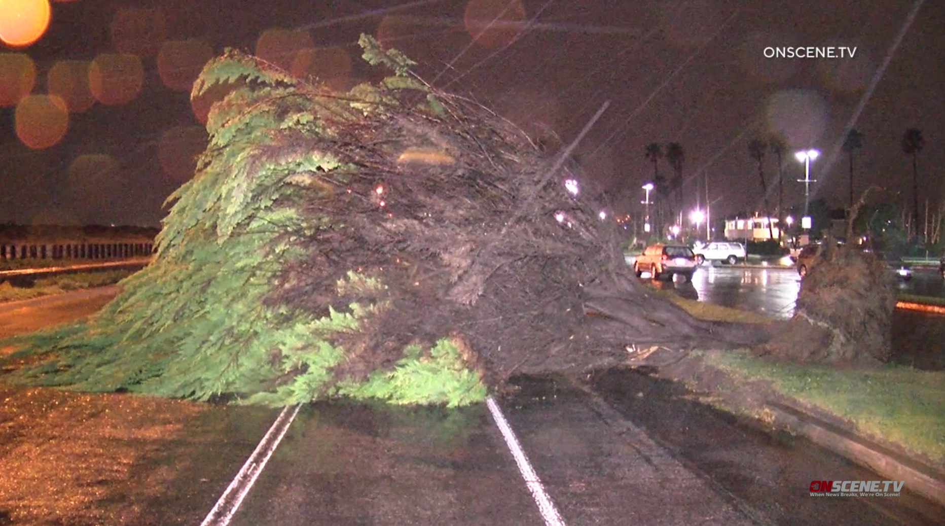 A toppled tree lays on the roadway at Ventura Harbor on Dec. 25, 2019, the night a tornado touched down in the area. (Credit: Onscene.TV)