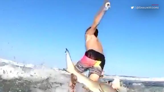 Shark knocks Florida surfer off his board.