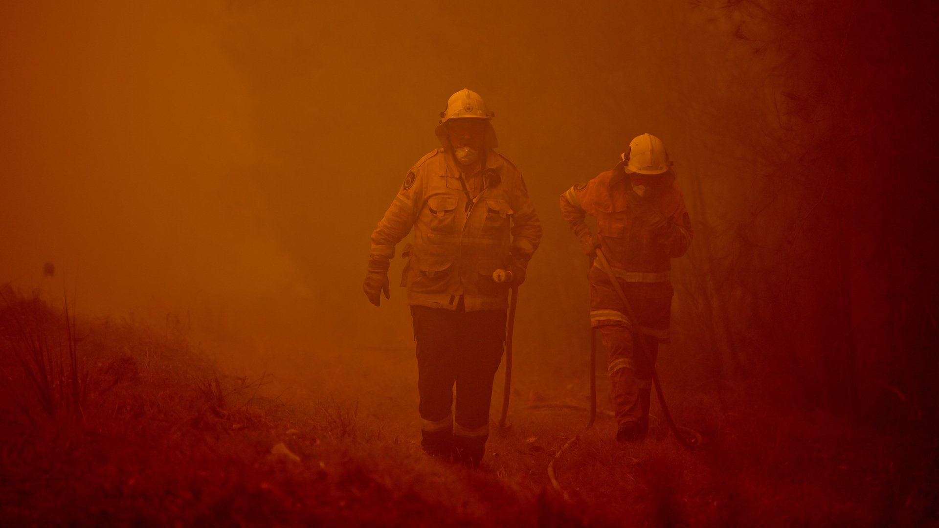 Firefighters tackle a bushfire in thick smoke in the town of Moruya, south of Batemans Bay, in New South Wales on January 4, 2020. (Credit: PETER PARKS/AFP via Getty Images)