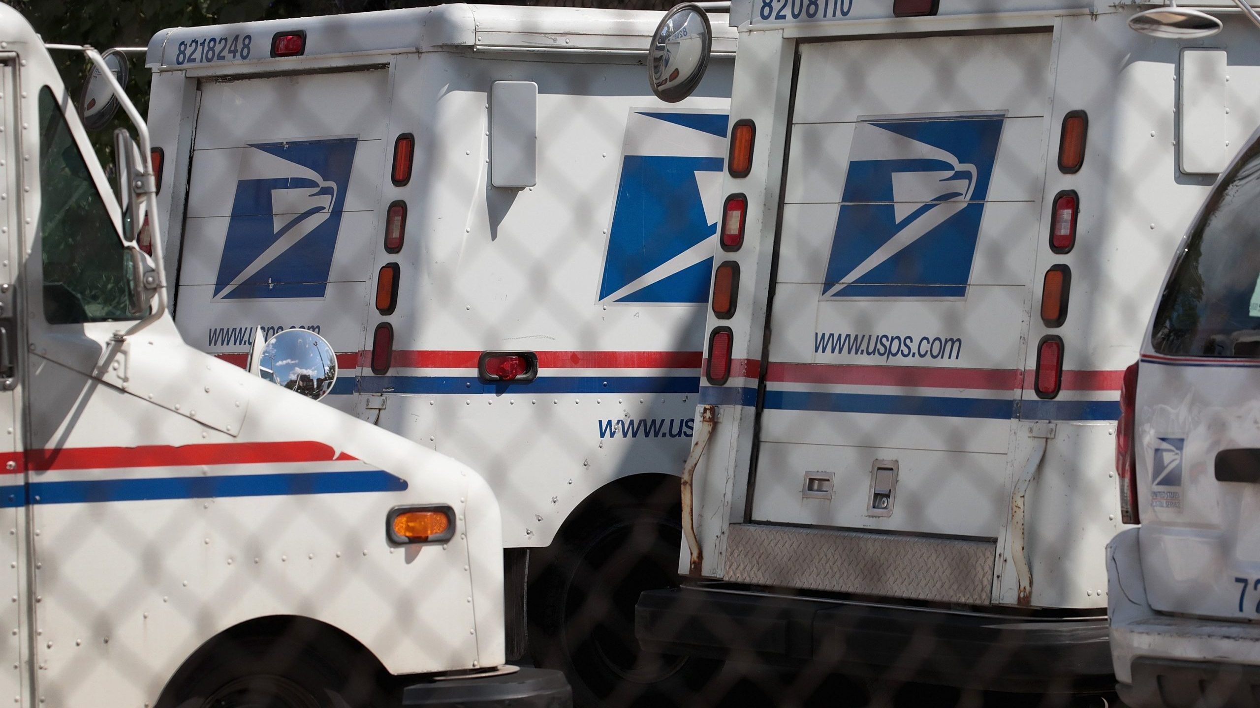 United States Postal Service (USPS) trucks are parked at a postal facility on August 15, 2019 in Chicago, Illinois. (Credit: Scott Olson/Getty Images)