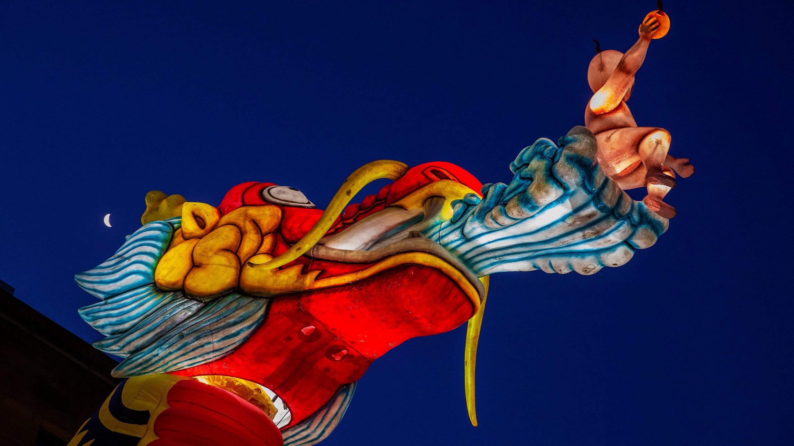 A dragon lantern by artist Guan Wei is seen on Jan. 31, 2020, in Sydney, Australia. The Lunar Lanterns exhibition took place as people celebrated Chinese Lunar New Year. (Credit: Jenny Evans/Getty Images)