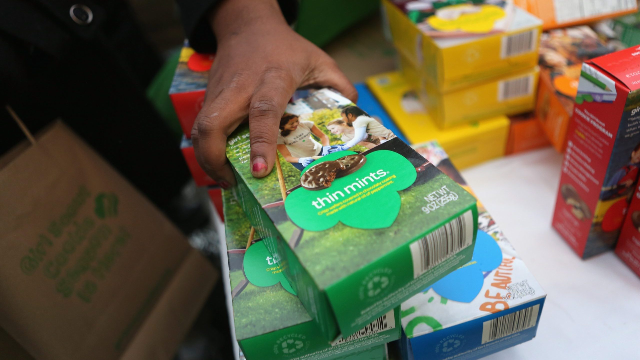 Girl Scouts sell cookies in New York City on Feb. 8, 2013 in New York City. (Credit: John Moore/Getty Images)