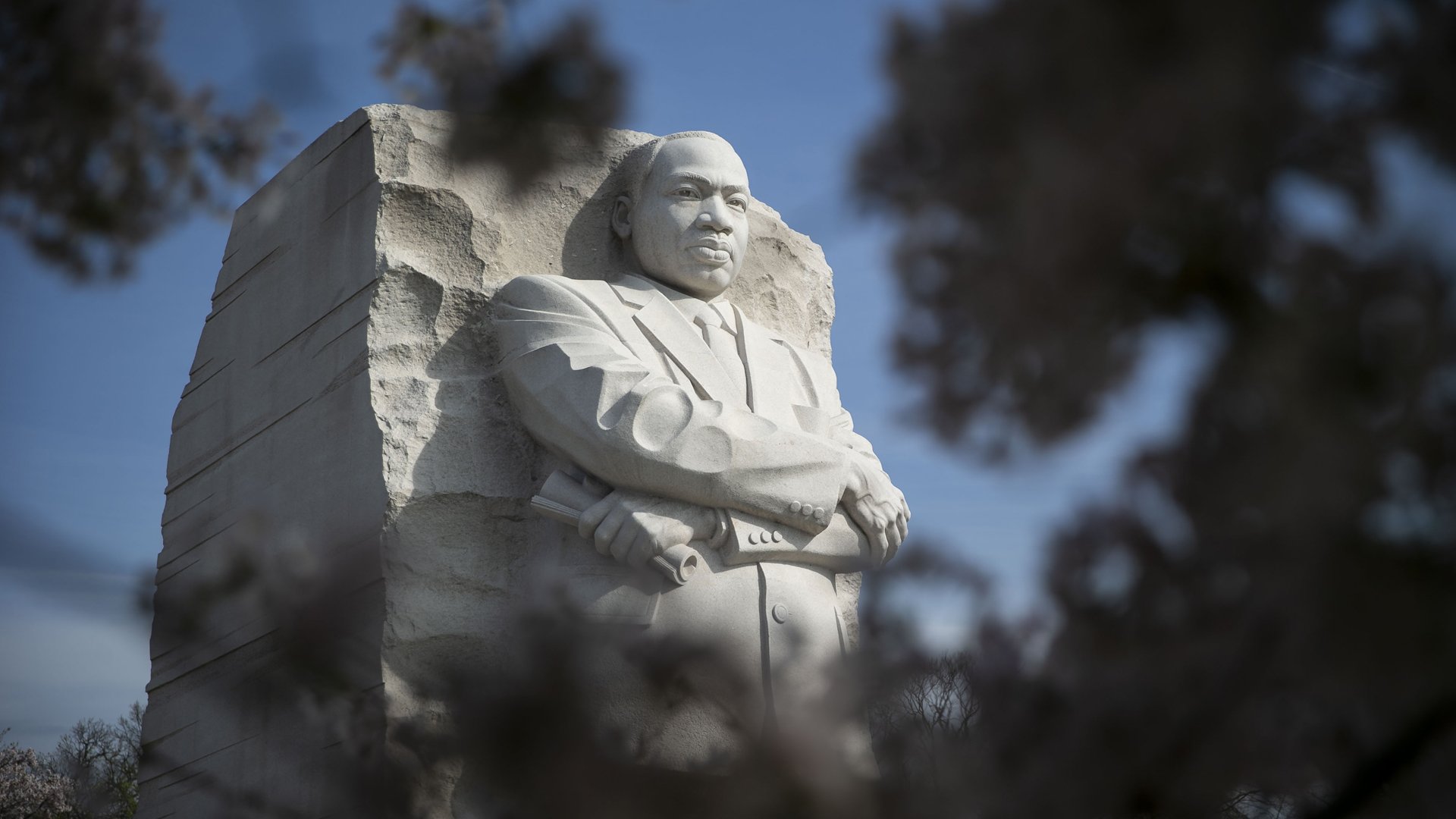 The Martin Luther King, Jr. Memorial is framed as cherry trees are in full bloom, on April 4, 2019, in Washington, DC. (Credit: Al Drago/Getty Images)