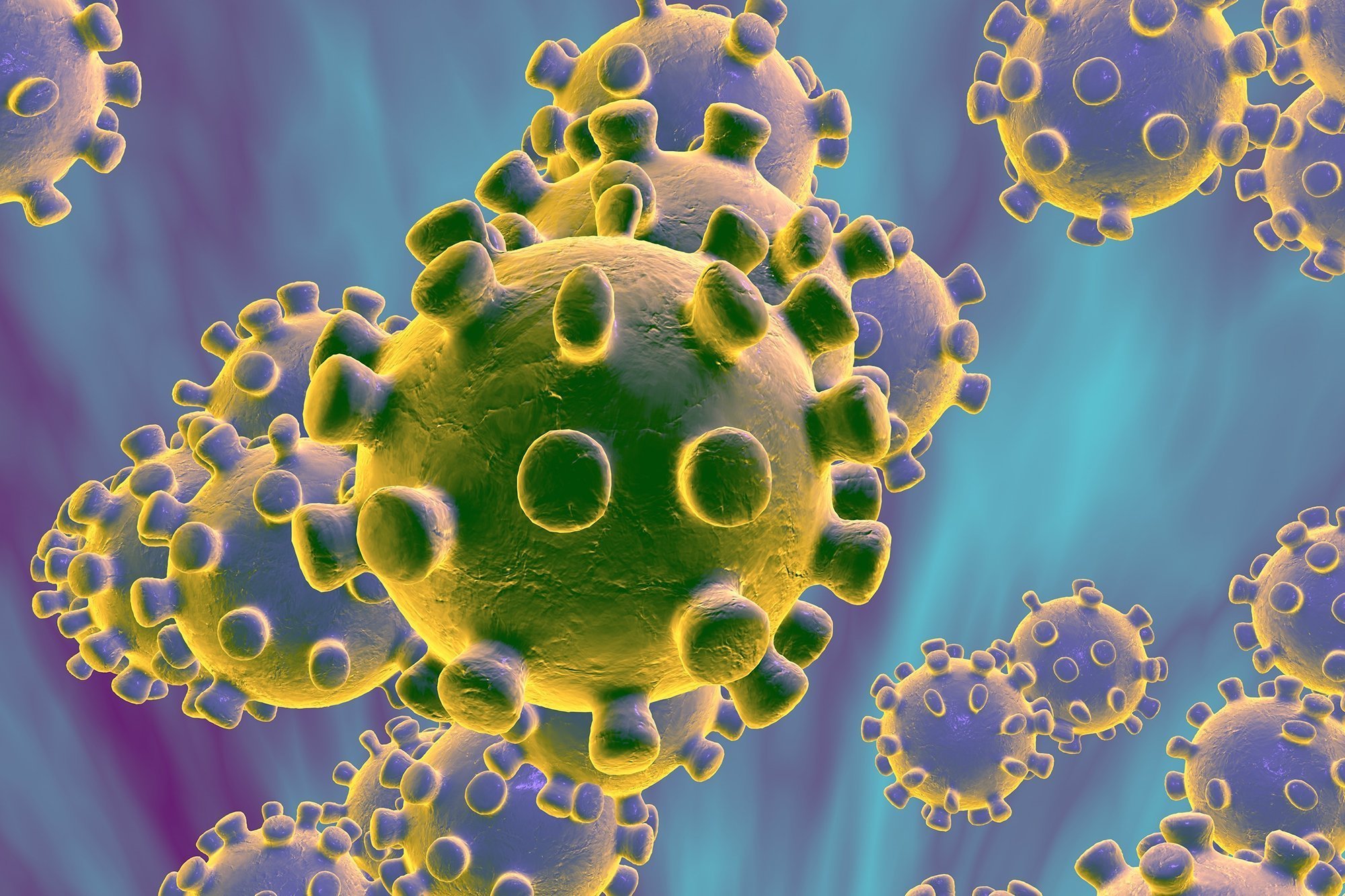 Scientist Leo Poon, who first decoded the virus, thinks it likely started in an animal and spread to humans. (Credit: Shutterstock via CNN Wire)