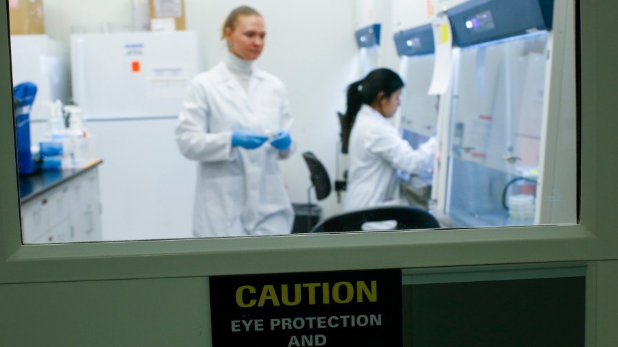 A researcher works in a lab that is developing testing for the COVID-19 coronavirus at Hackensack Meridian Health Center for Discovery and Innovation on February 28, 2020 in Nutley, New Jersey. (PCredit: Kena Betancur/Getty Images)