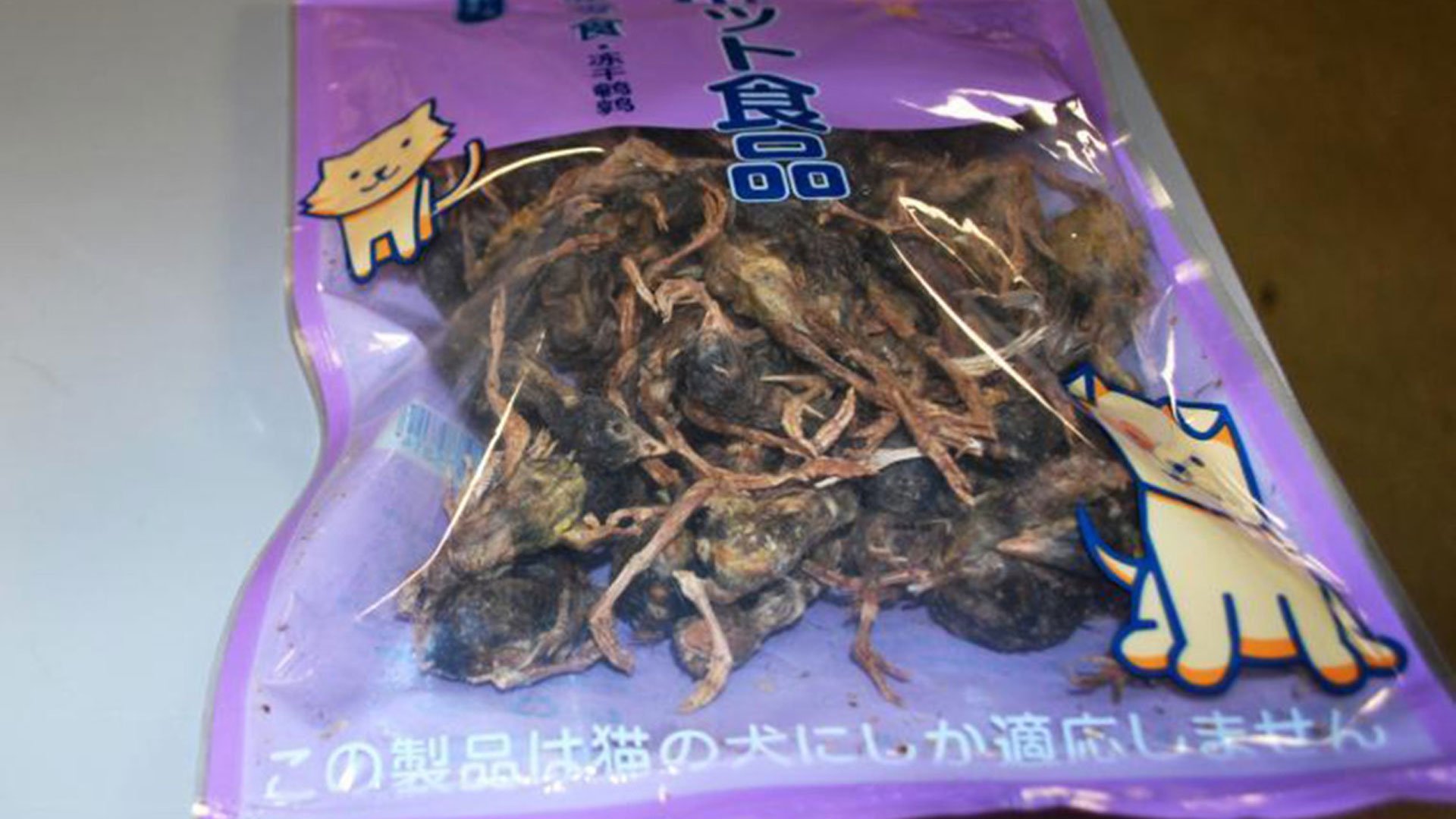 U.S. Custom and Border Protection officials released this photo of the confiscated dead birds on Feb. 10, 2020.