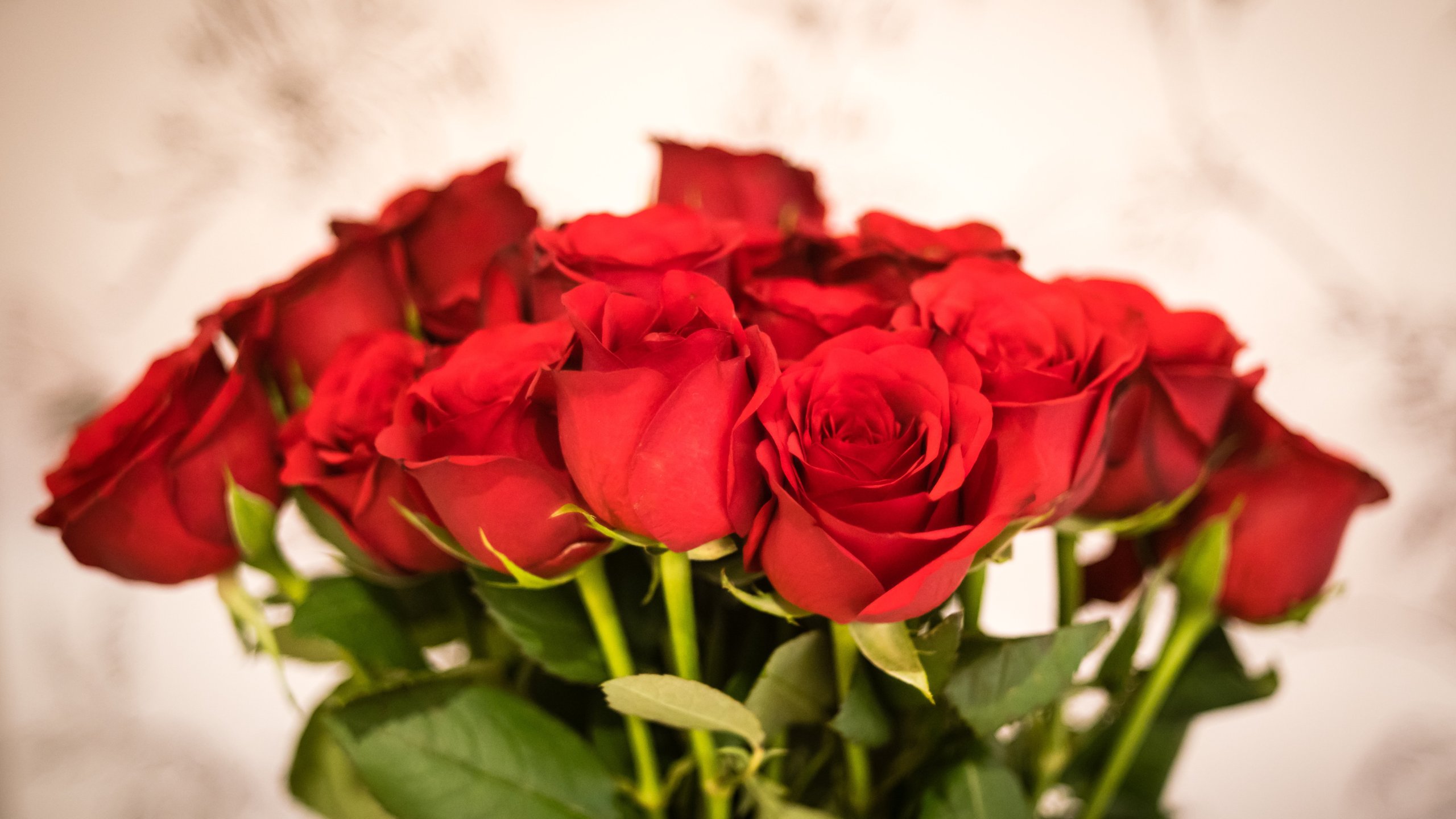 A classic bunch of red roses is seen in this file photo. (Credit: Getty Images)