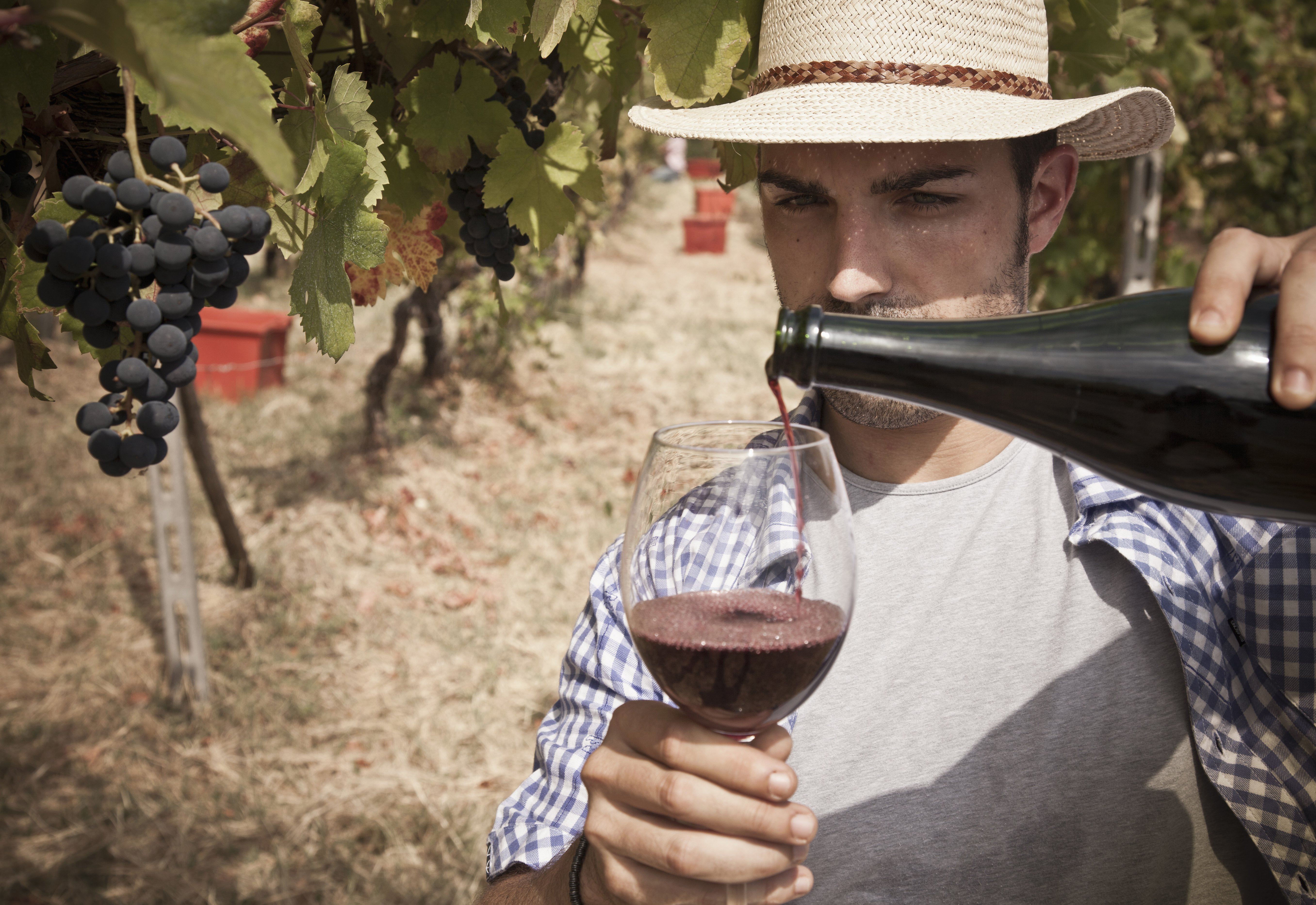 A man pours a glass of wine at a vineyard in Tuscany. (Credit: Buena Vista Images/Getty Images)