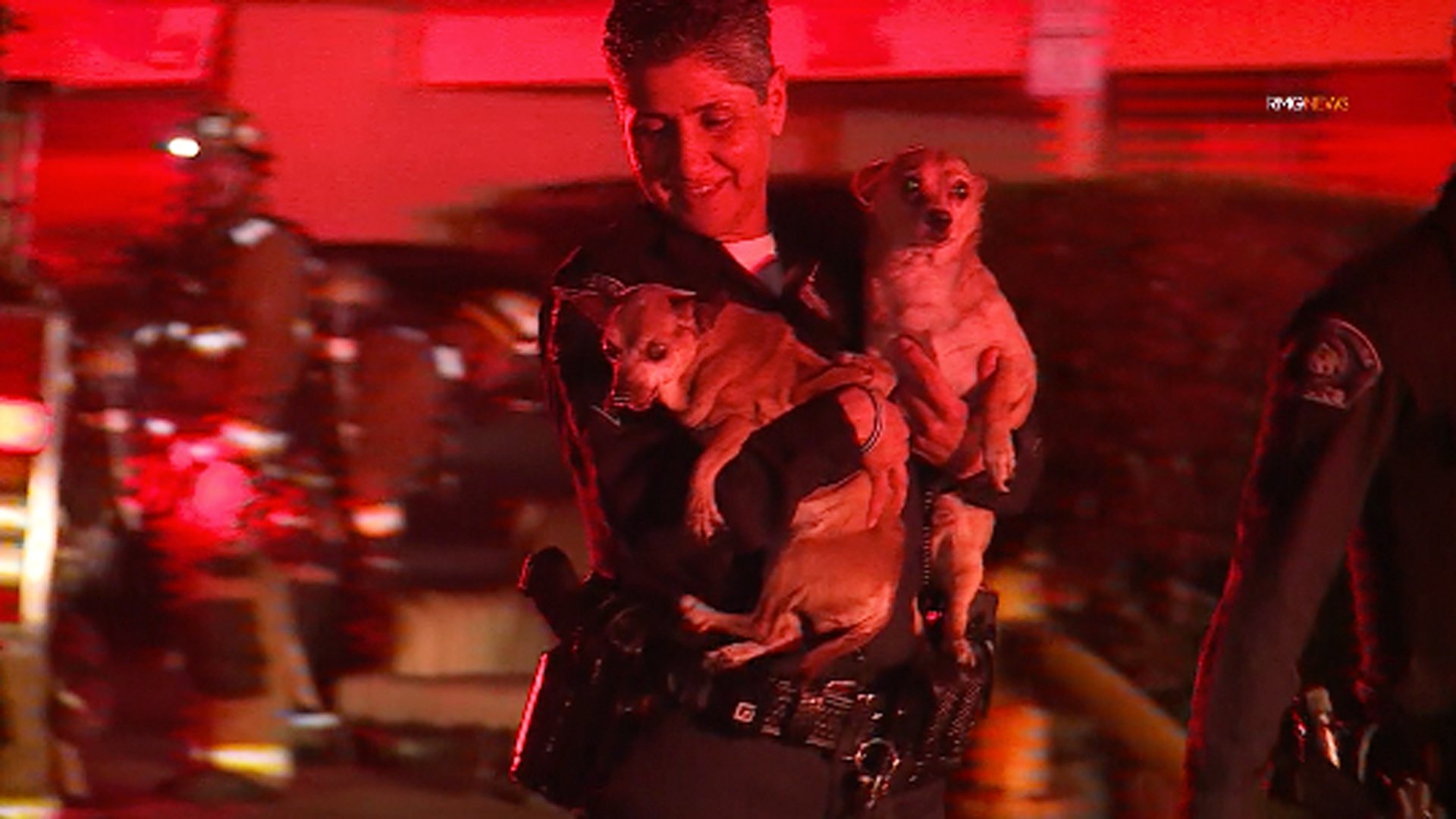 Two dogs are rescued from a fire in Monterey Park on Feb. 13, 2020. (Credit: RMG News)