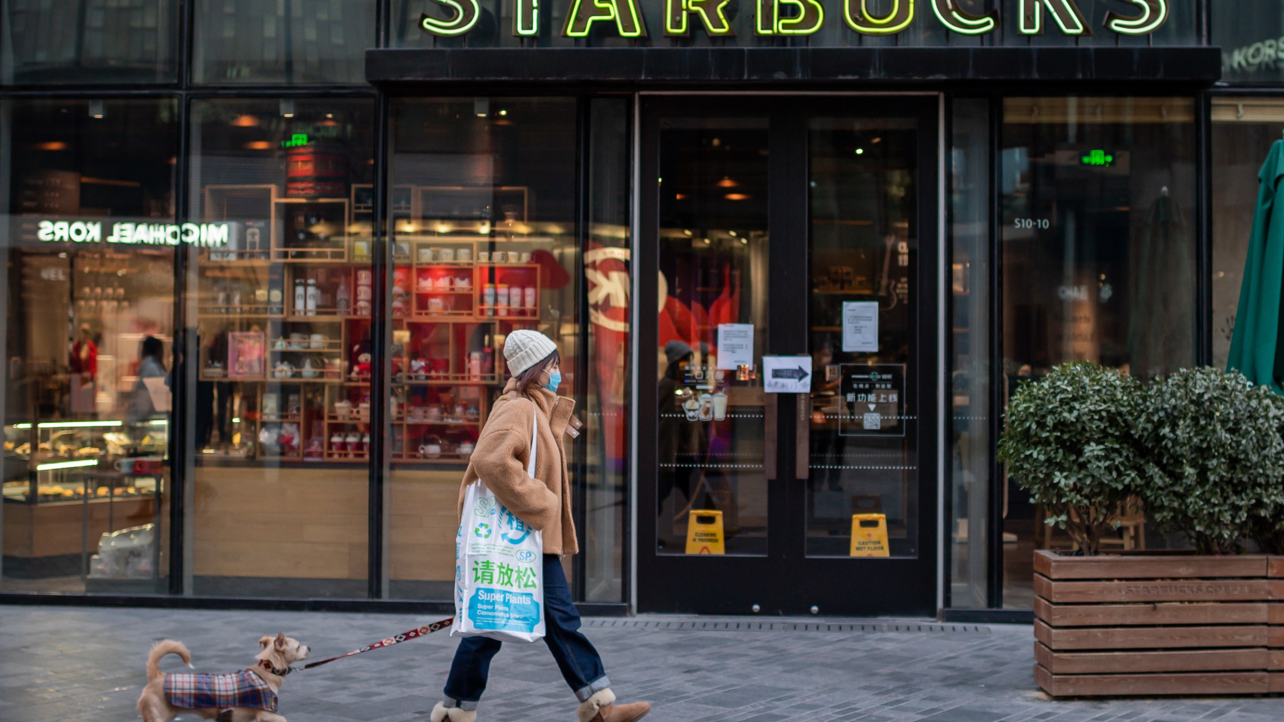 A woman, wearing a protective facemask, walks past a Starbucks coffee shop with her dog in Beijing on Jan. 30, 2020. (NICOLAS ASFOURI/AFP via Getty Images)