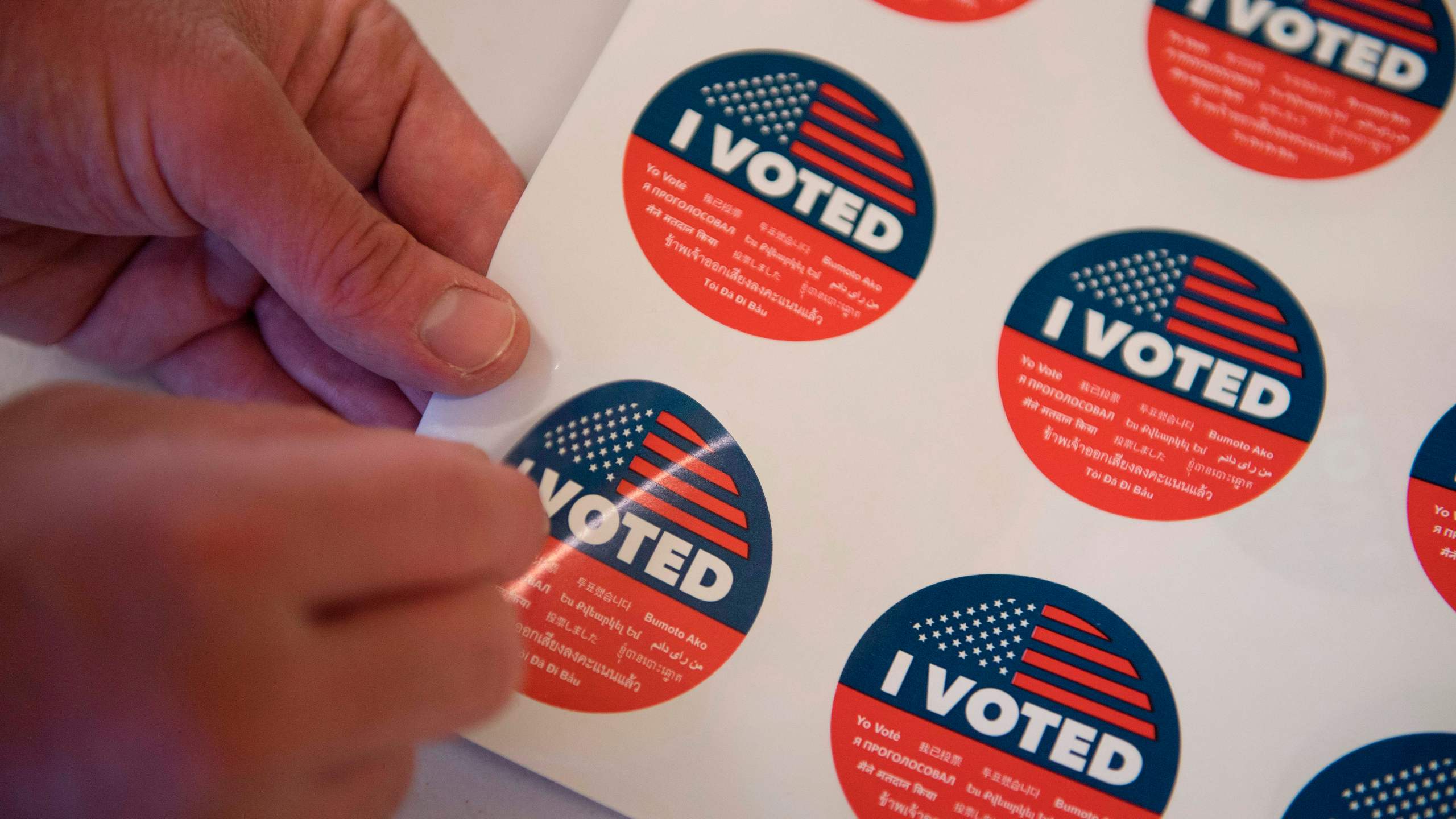 Voting stickers are displayed during early voting for the California primary in Los Angeles on March 1, 2020. (Credit: Mark Ralston / AFP / Getty Images)