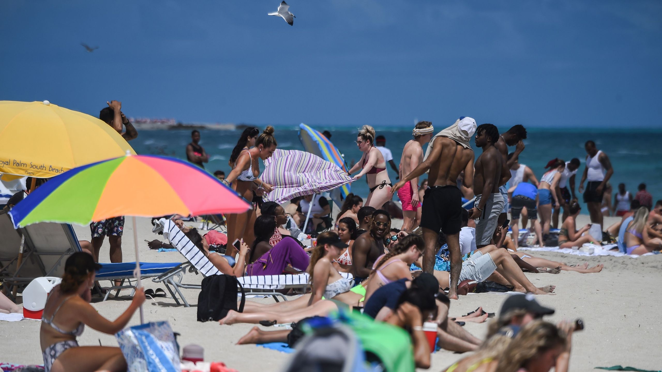 People enjoy the water in Miami Beach, Fla., on March 18, 2020. (CHANDAN KHANNA/AFP via Getty Images)