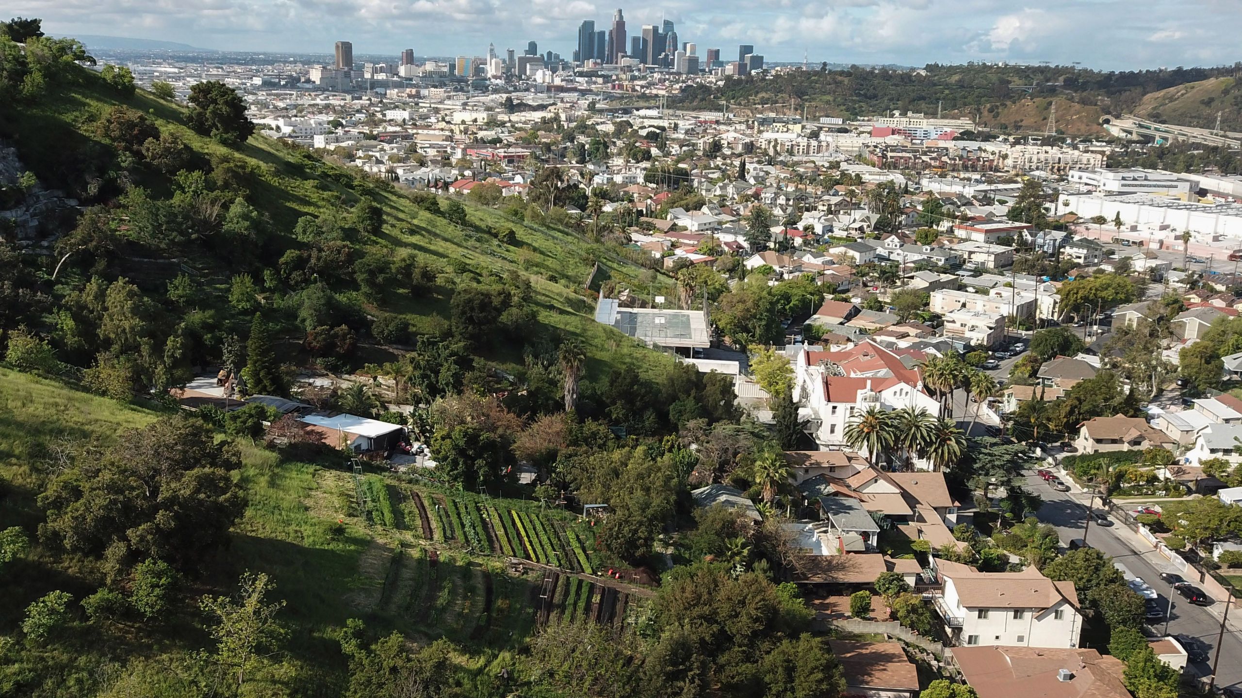 Aerial view of a small urban farm with the Los Angeles skyline in the background is seen on March 25, 2020. (ROBYN BECK/AFP via Getty Images)