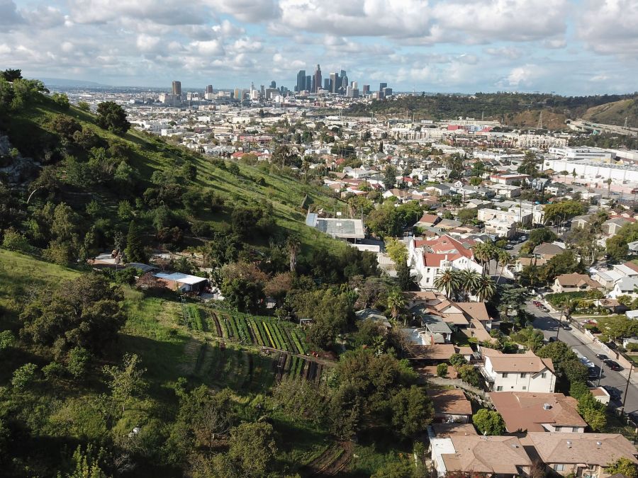 Aerial view of a small urban farm with the Los Angeles skyline in the background is seen on March 25, 2020. (ROBYN BECK/AFP via Getty Images)