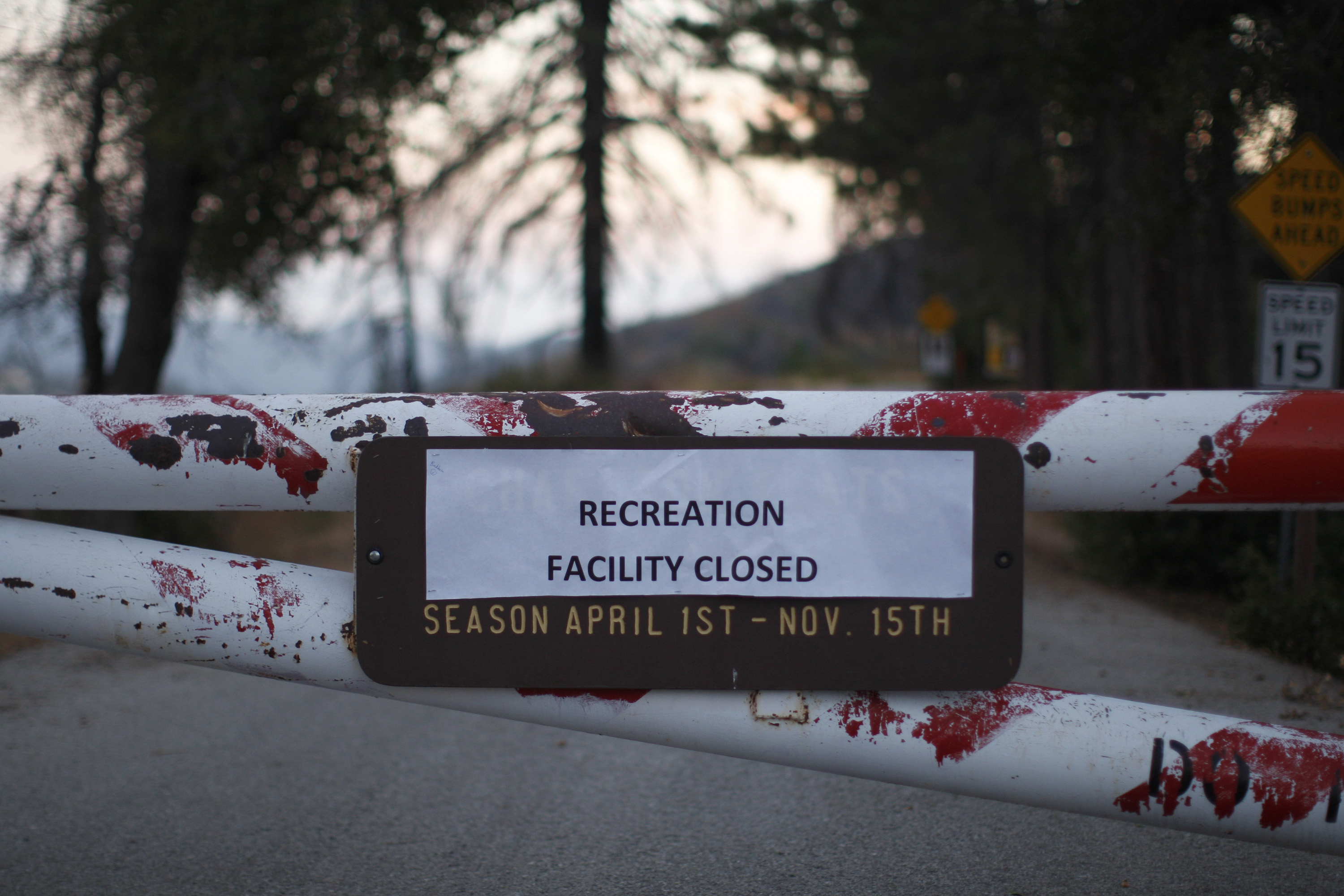 Access to the Charlton Flat campground is blocked by a locked gate in the Angeles National Forest on Oct. 2, 2013, in the San Gabriel Mountains, northeast of Los Angeles. (David McNew/Getty Images)