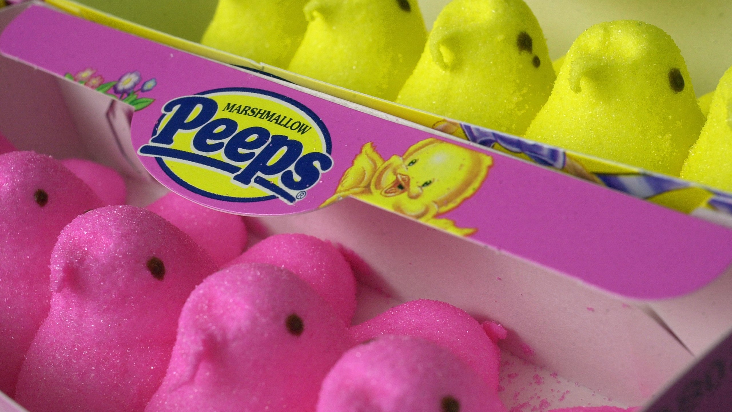 Pink and yellow Marshmallow Peeps are seen in a file photo. (William Thomas Cain/Getty Images)