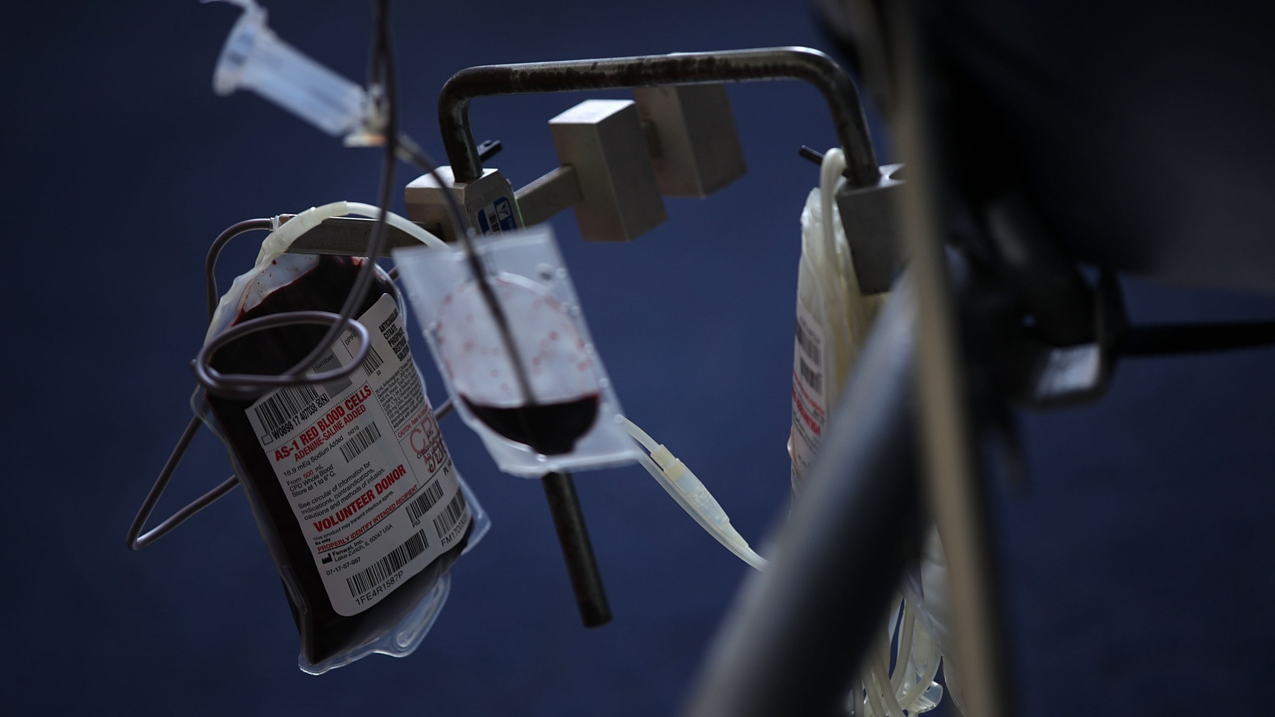 Blood is collected from a donor into a bag during a blood drive in this file photo. (Alex Wong/Getty Images)