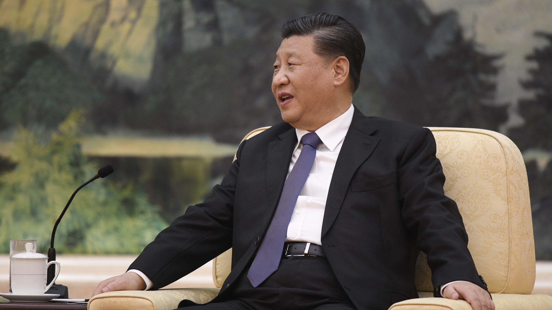 Chinese President Xi jinping speaks World Health Organization director general Tedros Adhanom (not pictured) during their meeting at the Great Hall of the People in Beijing on January 28, 2020. (Credit: Naohiko Hatta/AFP/Getty Images)