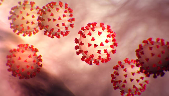 A rendering of coronavirus via the CDC.