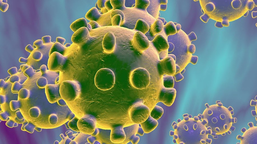 A coronavirus is seen in an undated photo. (Getty Images)