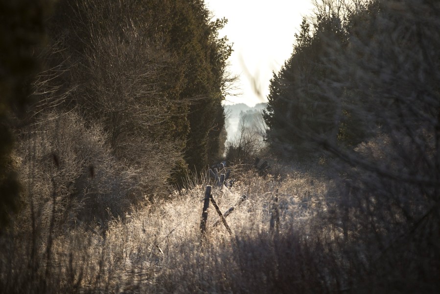 The United States and Canada are preparing to issue a joint statement in the next 24-48 hours to suspend non-essential travel between the two countries, a Trump administration official tells CNN. (GEOFF ROBINS/AFP/Getty Images)