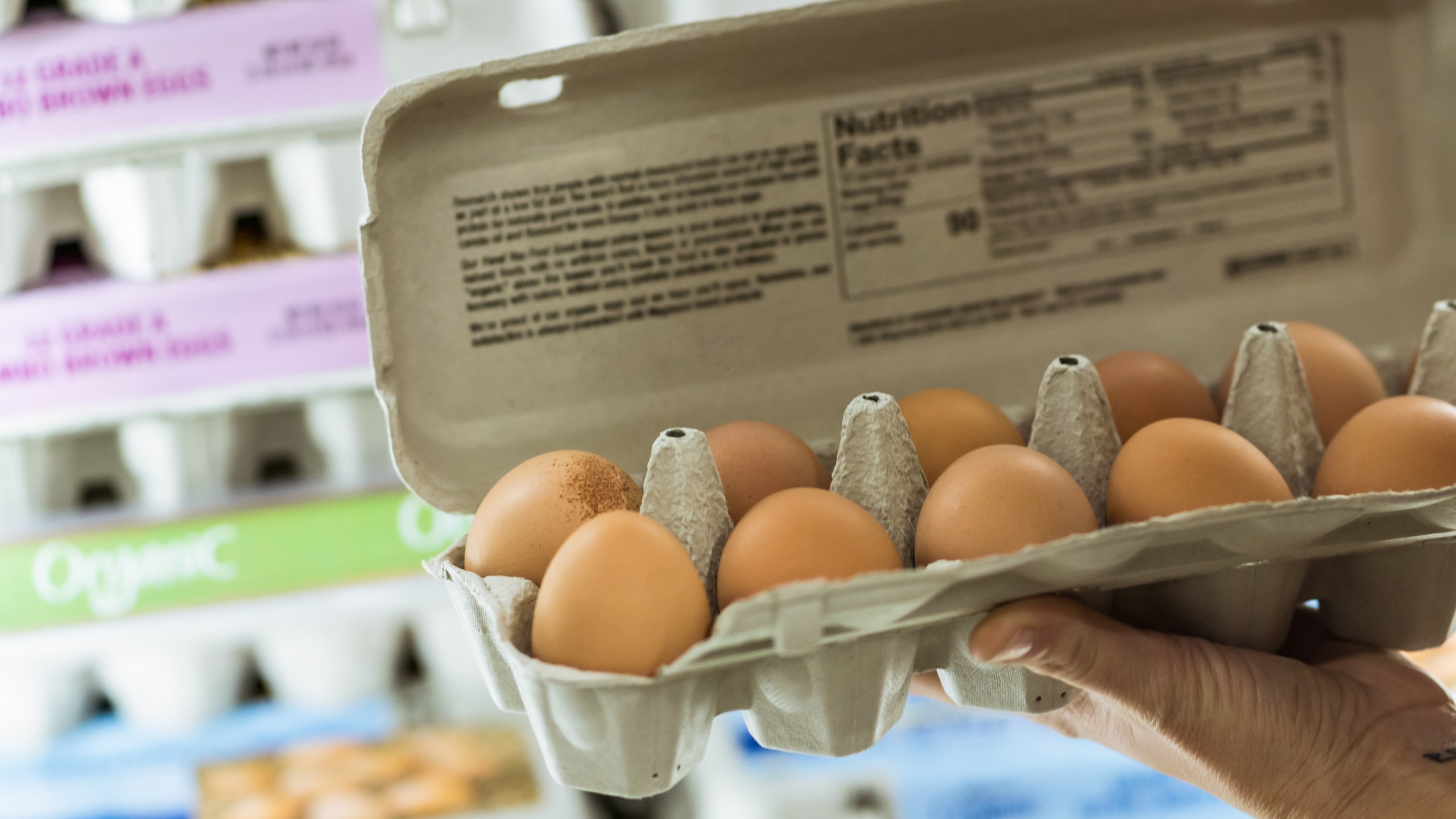 A woman holds up a carton of eggs at a grocery store in this file photo. (Getty Images)