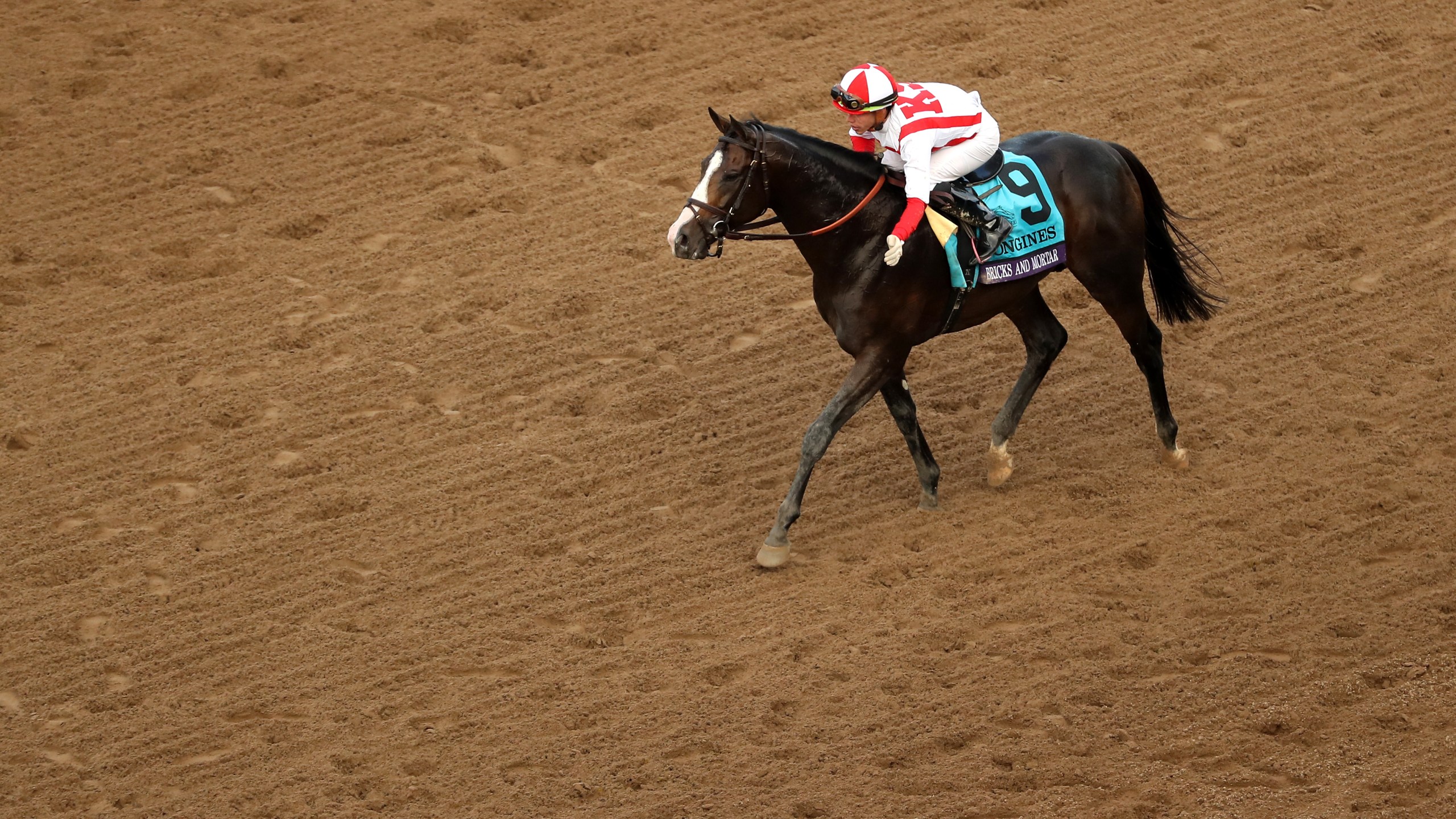 Jockey Irad Ortiz Jr. aboard Bricks and Mortar reacts after winning the Breeders' Cup Turf race at Santa Anita Park on Nov. 2, 2019 in Arcadia. (Sean M. Haffey/Getty Images)