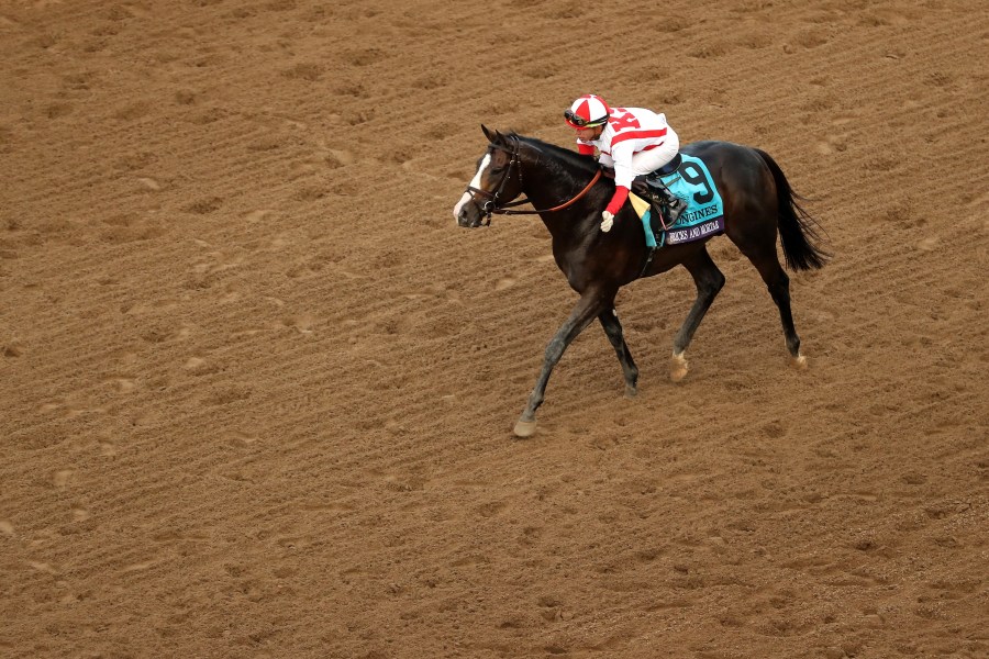 Jockey Irad Ortiz Jr. aboard Bricks and Mortar reacts after winning the Breeders' Cup Turf race at Santa Anita Park on Nov. 2, 2019 in Arcadia. (Sean M. Haffey/Getty Images)