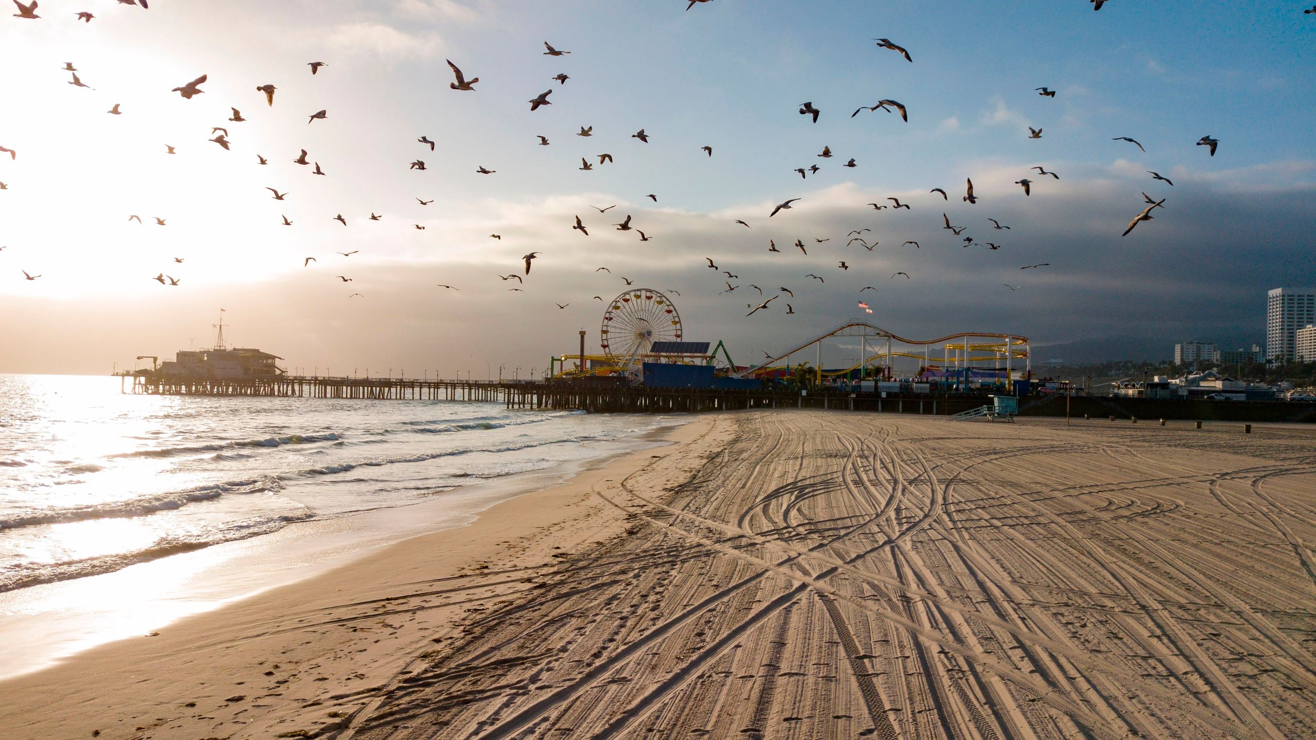 Birds fly over an empty Santa Monica beach on April 16, 2020. (Robyn Beck/AFP via Getty Images)