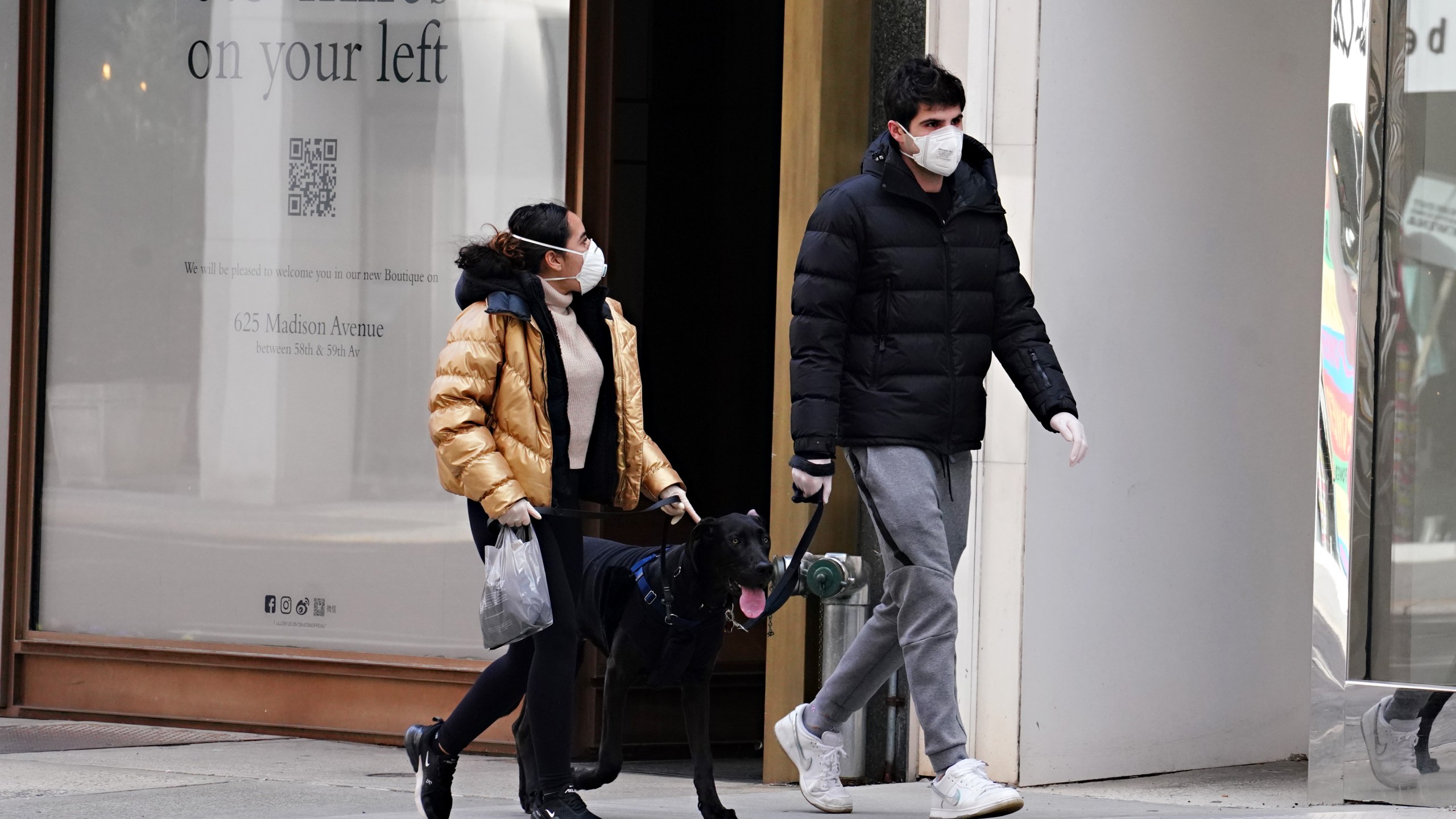 Two people walk a dog during the coronavirus pandemic on April 16, 2020, in New York City. (Cindy Ord/Getty Images)