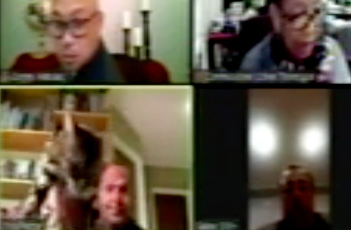 A screenshot from a Zoom meeting posted on the city of Vallejo's website on April 26, 2020 shows Chris Platzer holding up his cat.