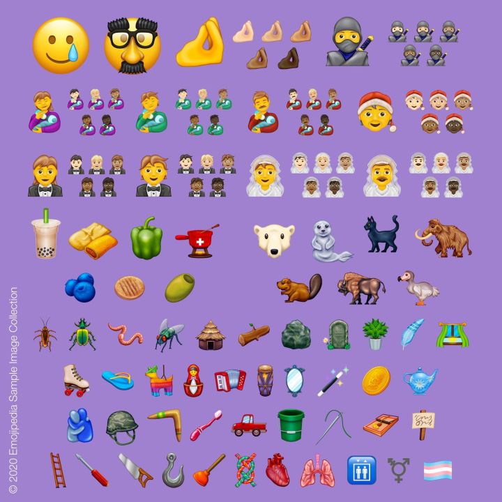 (© 2020 Emojipedia)