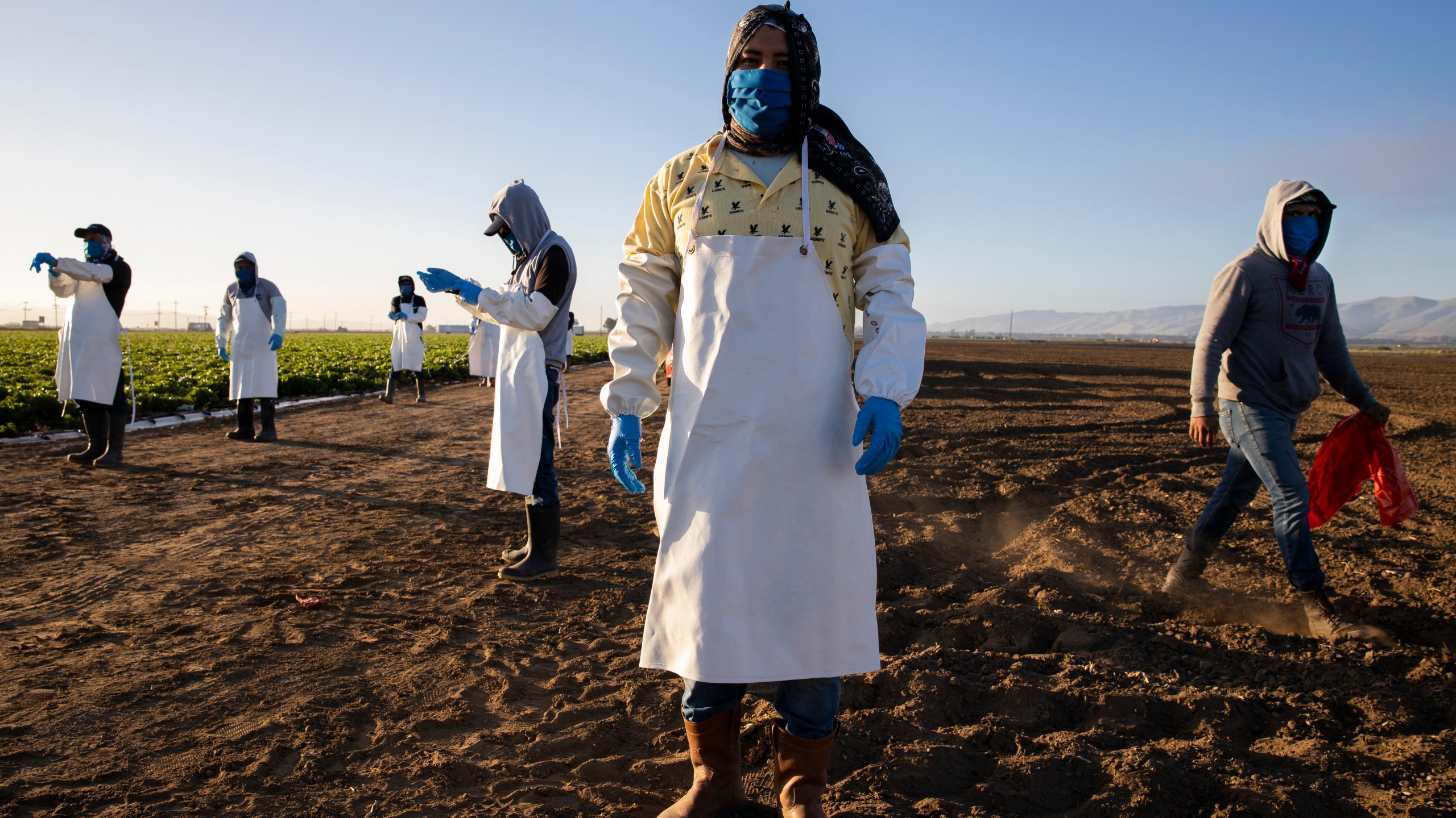 Farm laborers from Fresh Harvest arrive early in the morning on April 28, 2020 in Greenfield, California. (Brent Stirton/Getty Images)