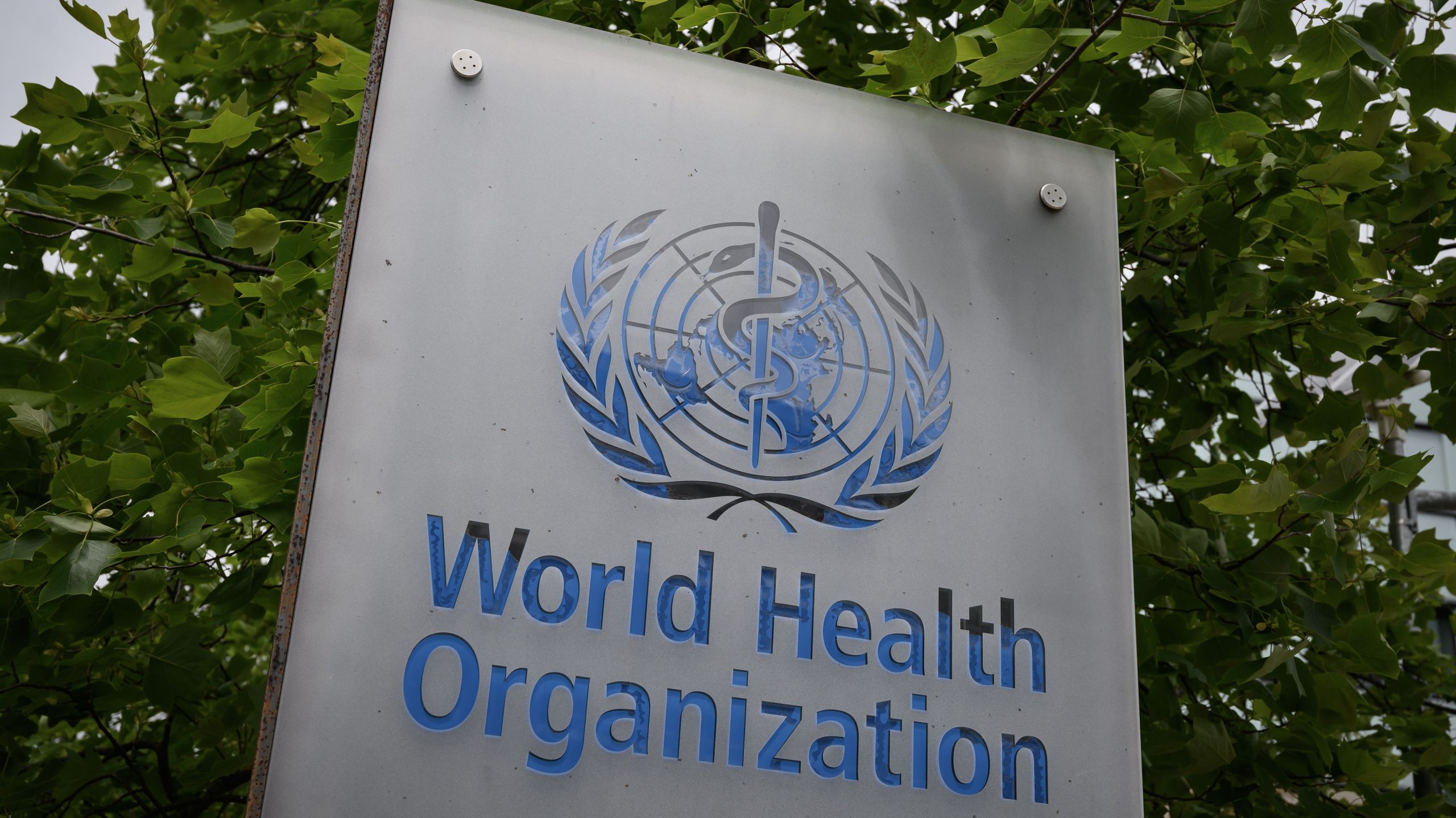 This picture taken on May 12, 2020, shows a sign of the World Health Organization in Geneva next to their headquarters. (FABRICE COFFRINI/AFP via Getty Images)