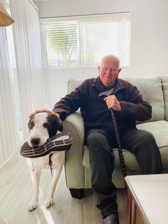 Hayrik Abnous is seen in a photo taken by his granddaughter, Vana Ebrahimi, in Glendale.