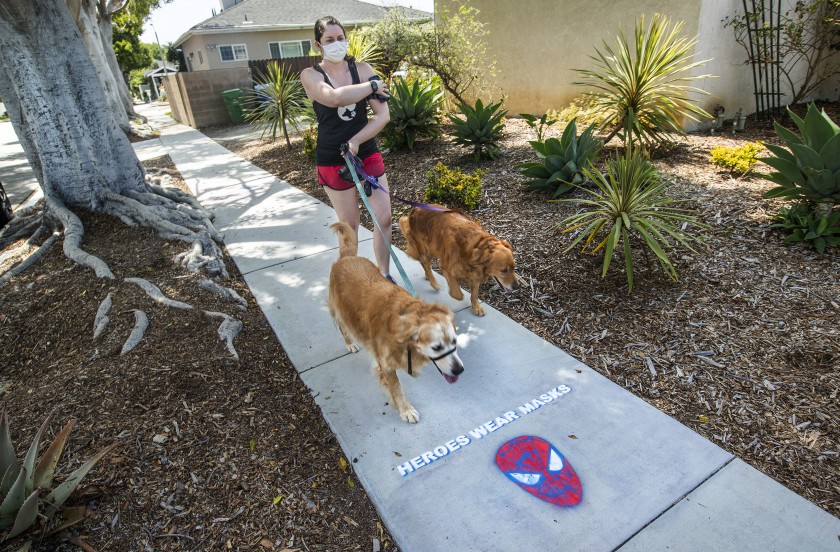 On Wednesday, Dr. Christina Ghaly, director of health services for L.A. County, said an increasing downturn in the daily number of new confirmed cases suggested that the effective transmission number was now slightly under 1. In this photo, Lindsay Rojas, owner of Lindsay’s Dog Walks in Culver City, walks golden retrievers Gomez, left, and Nikki.(Mel Melcon / Los Angeles Times)