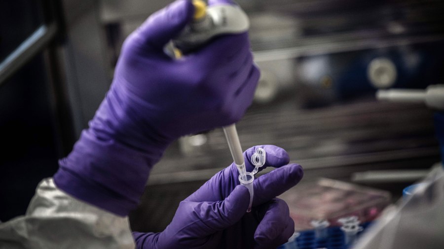 A scientist is at work in the VirPath university laboratory on February 5, 2020 as they try to find an effective treatment against the SARS-like coronavirus. (JEFF PACHOUD/AFP via Getty Images)