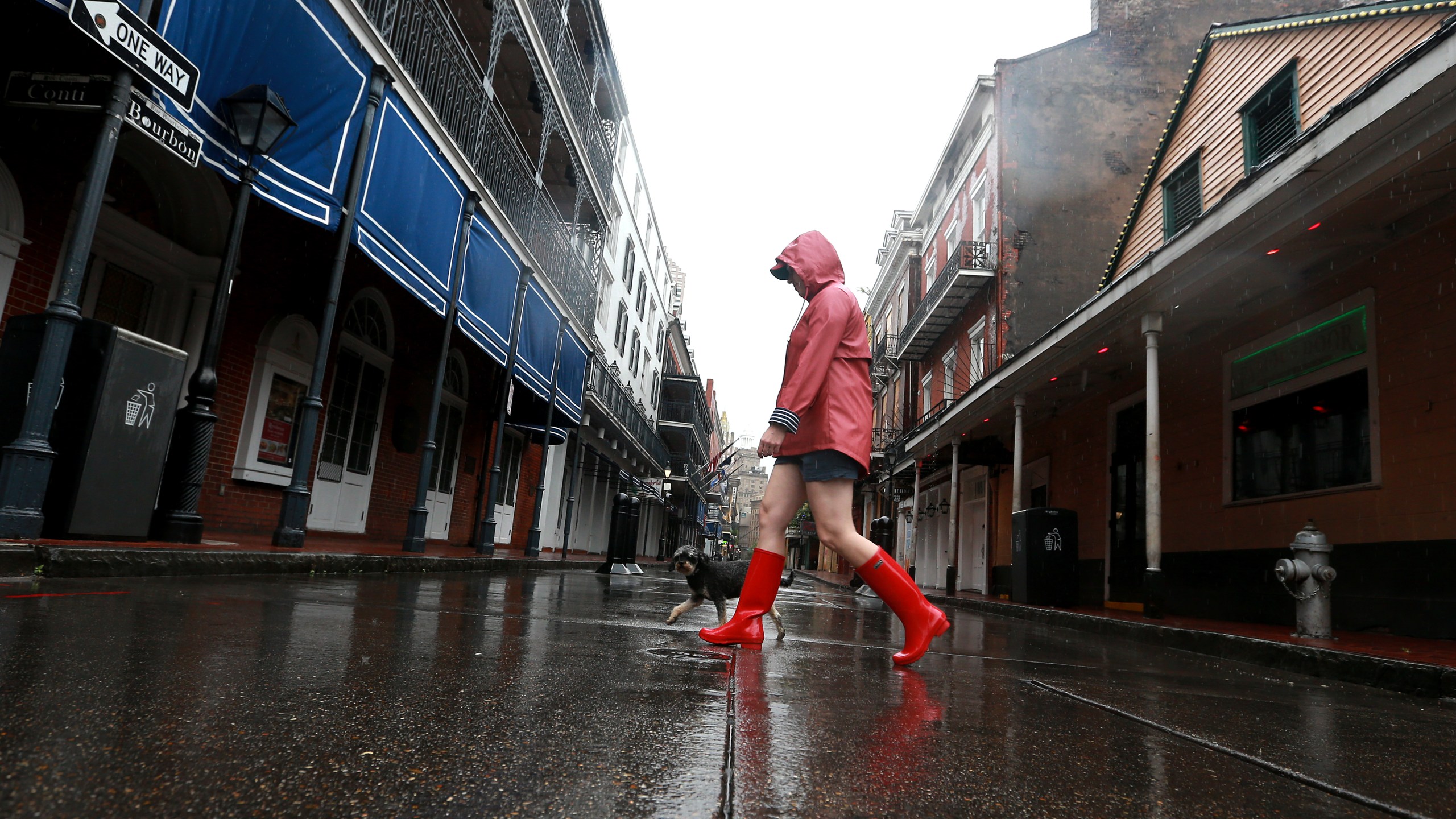 A woman walks her dog through the French Quarter as Tropical Storm Cristobal nears the coast on June 7, 2020, in New Orleans, Louisiana. (Sean Gardner/Getty Images)