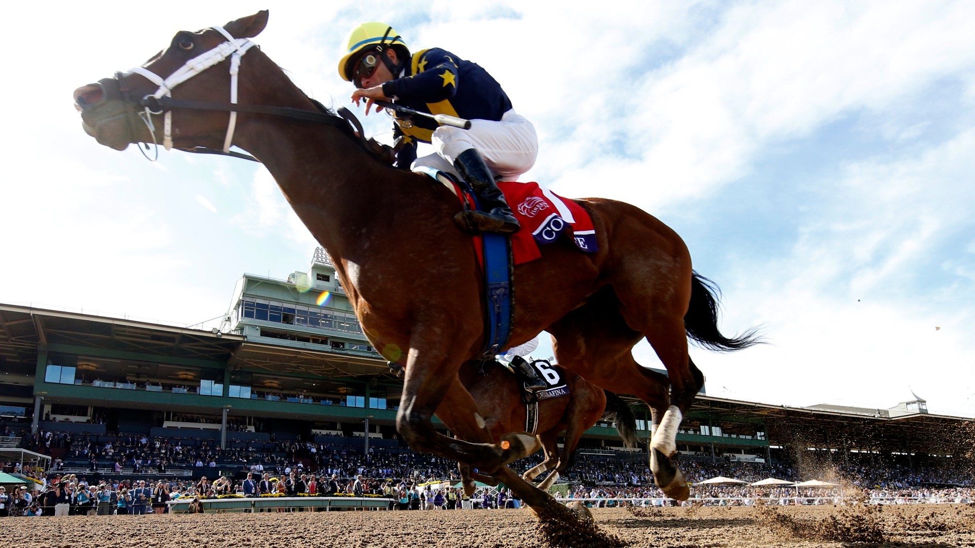 Jockey Joel Rosario aboard Covfefe wins the Filly and Mare race during the Breeders Cup at Santa Anita Park on Nov. 02, 2019. (Sean M. Haffey/Getty Images)