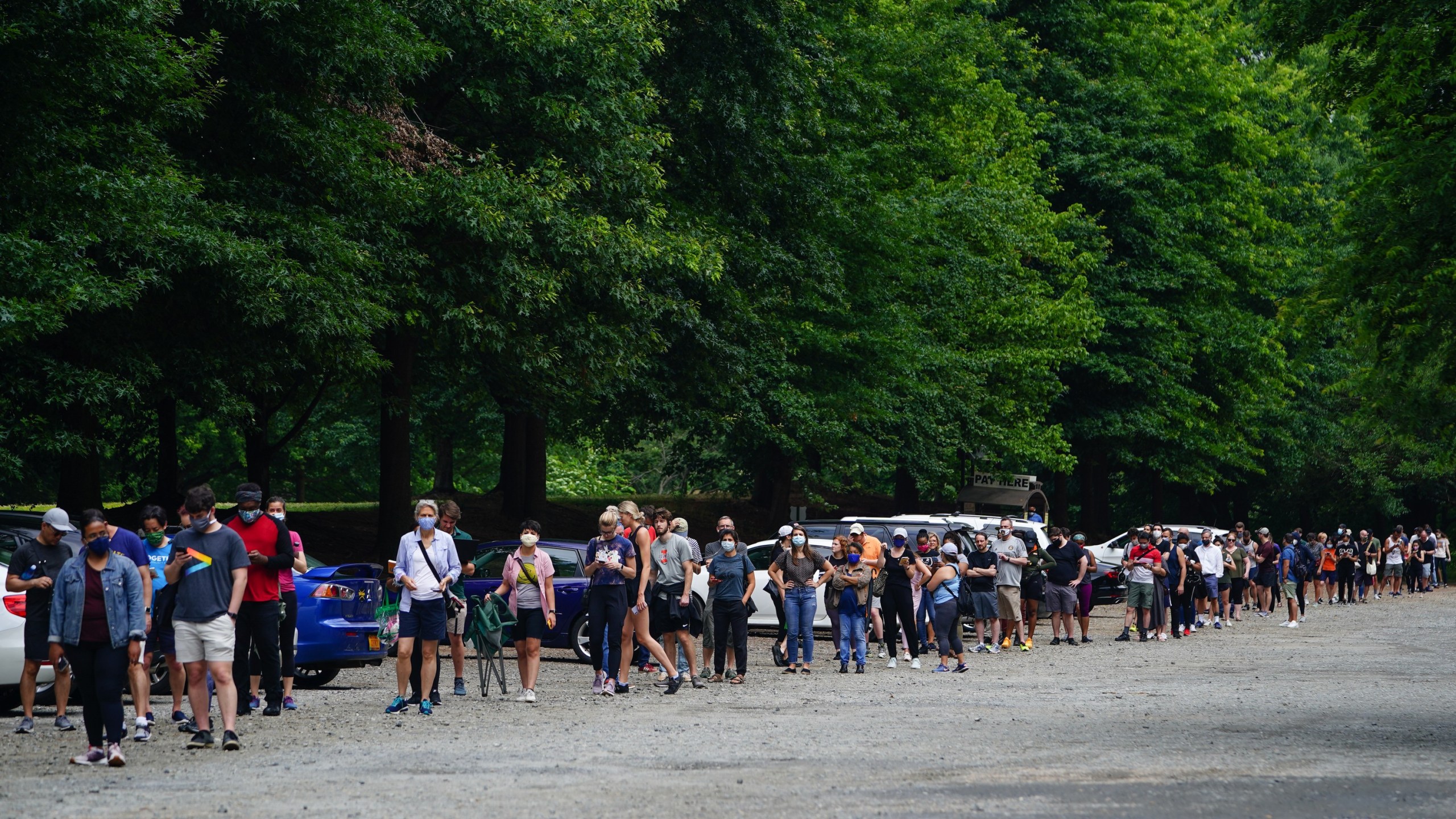 People wait in line to vote in Georgia's primary election on June 9, 2020, in Atlanta, Georgia. (Elijah Nouvelage/Getty Images)