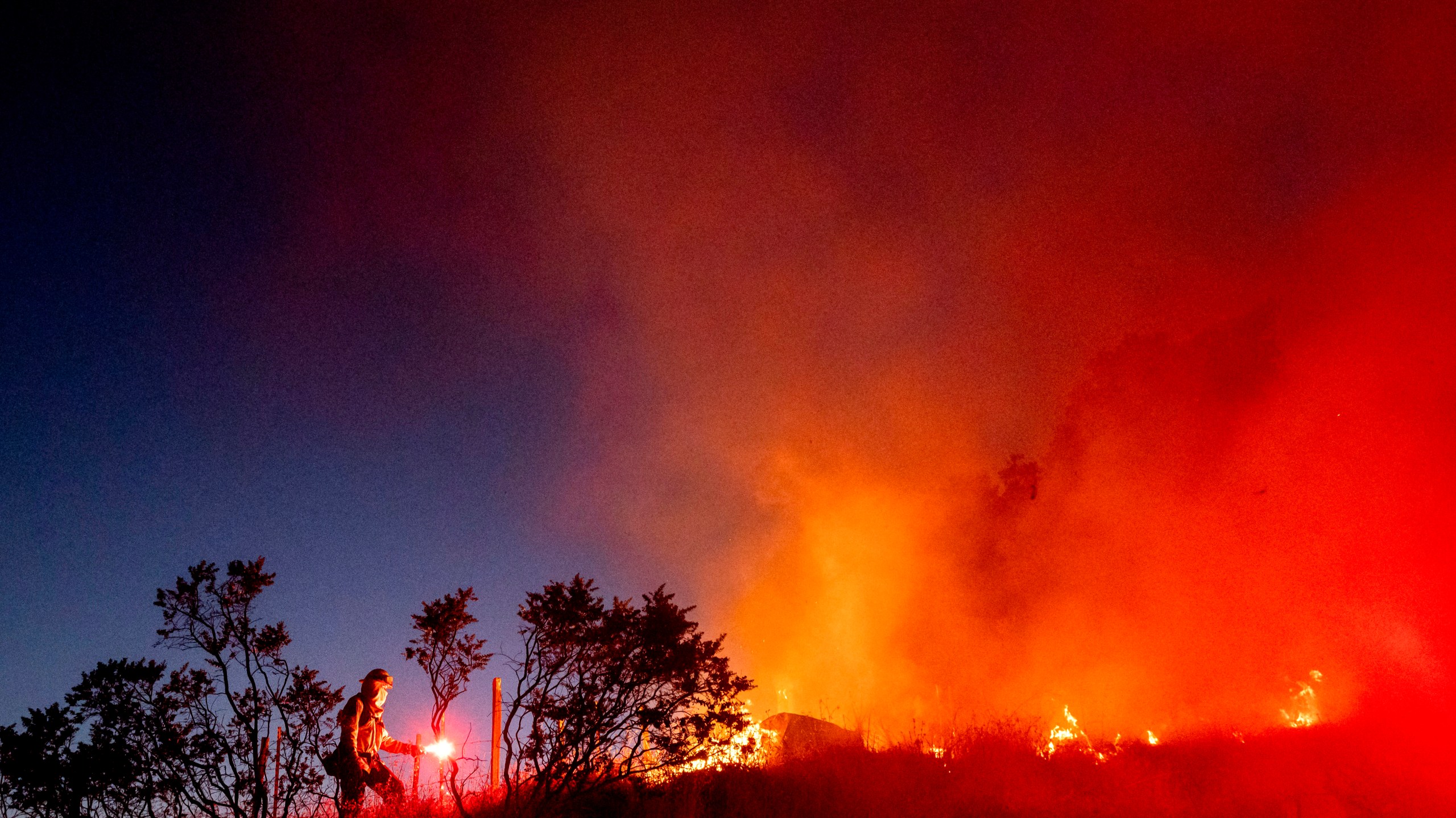 Firefighter Daniel Abarado lights a backfire while working to contain the Crews Fire near Gilroy on July 5, 2020. (AP Photo/Noah Berger)