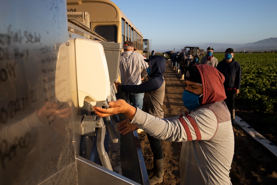 Farmworkers with Fresh Harvest wash their hands before work on April 28, 2020, in Greenfield, Calif. (Brent Stirton/Getty Images)