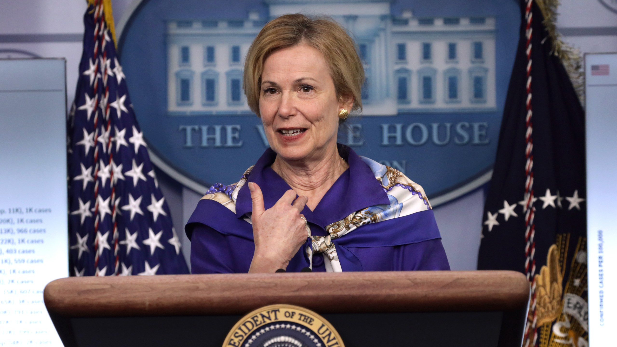 White House coronavirus response coordinator Deborah Birx speaks during a news briefing at the James Brady Press Briefing Room of the White House on May 22, 2020. (Alex Wong/Getty Images)