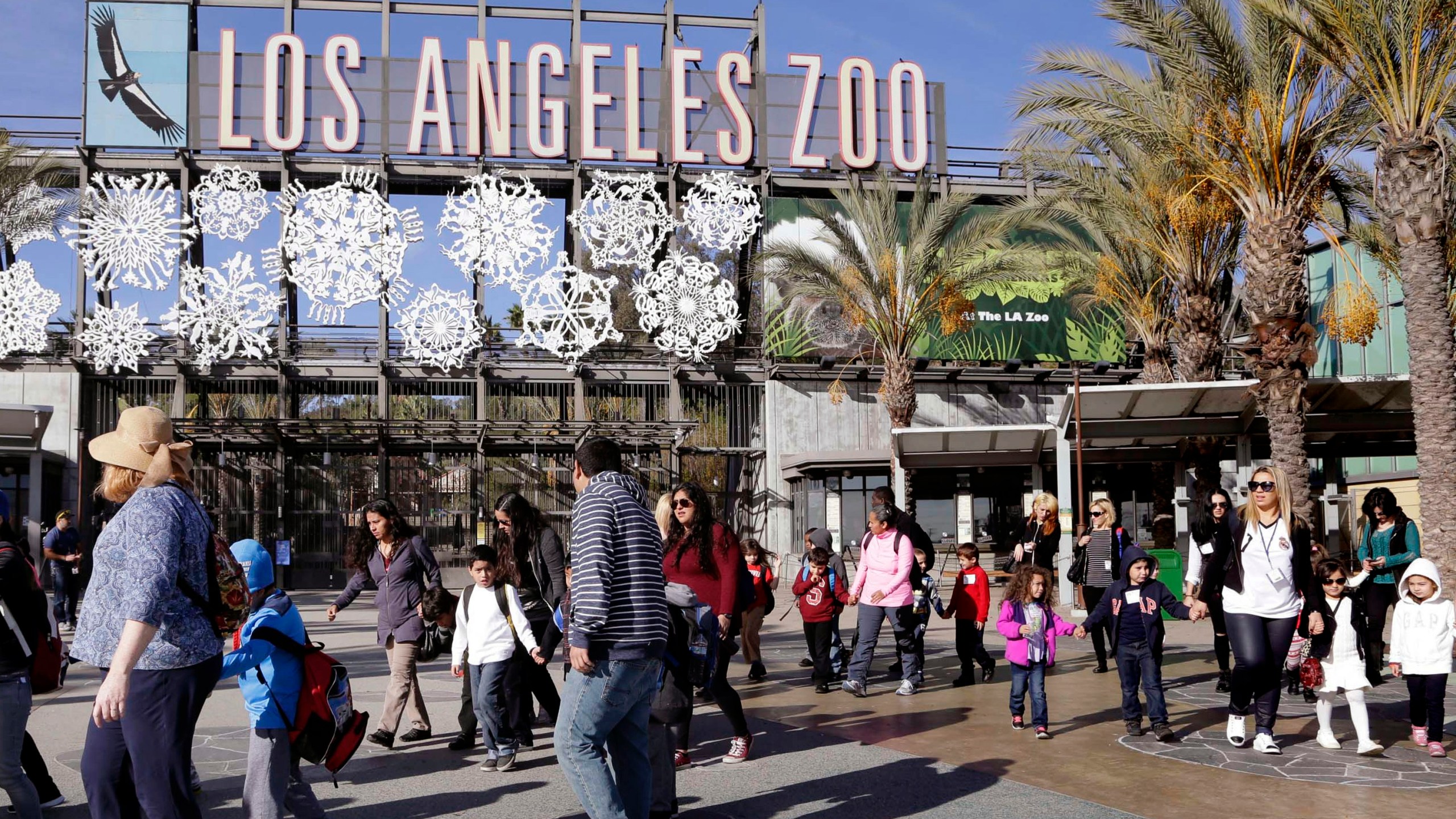 Children arrive at L.A. Zoo