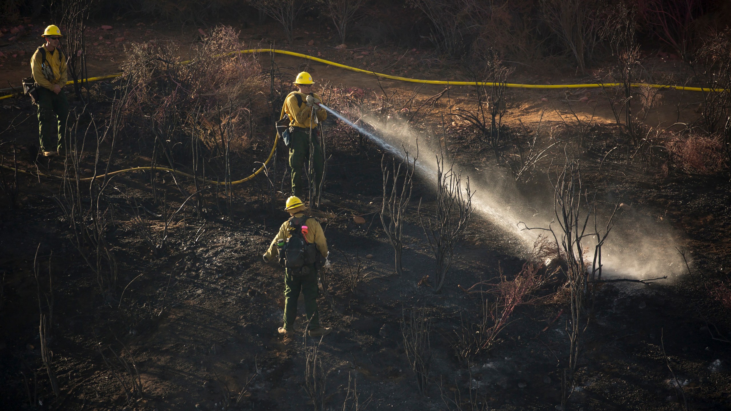 Hand crews work on the remaining hot spots from a brush fire at the Apple Fire in Cherry Valley, Calif., Saturday, Aug. 1, 2020. (AP Photo/Ringo H.W. Chiu)