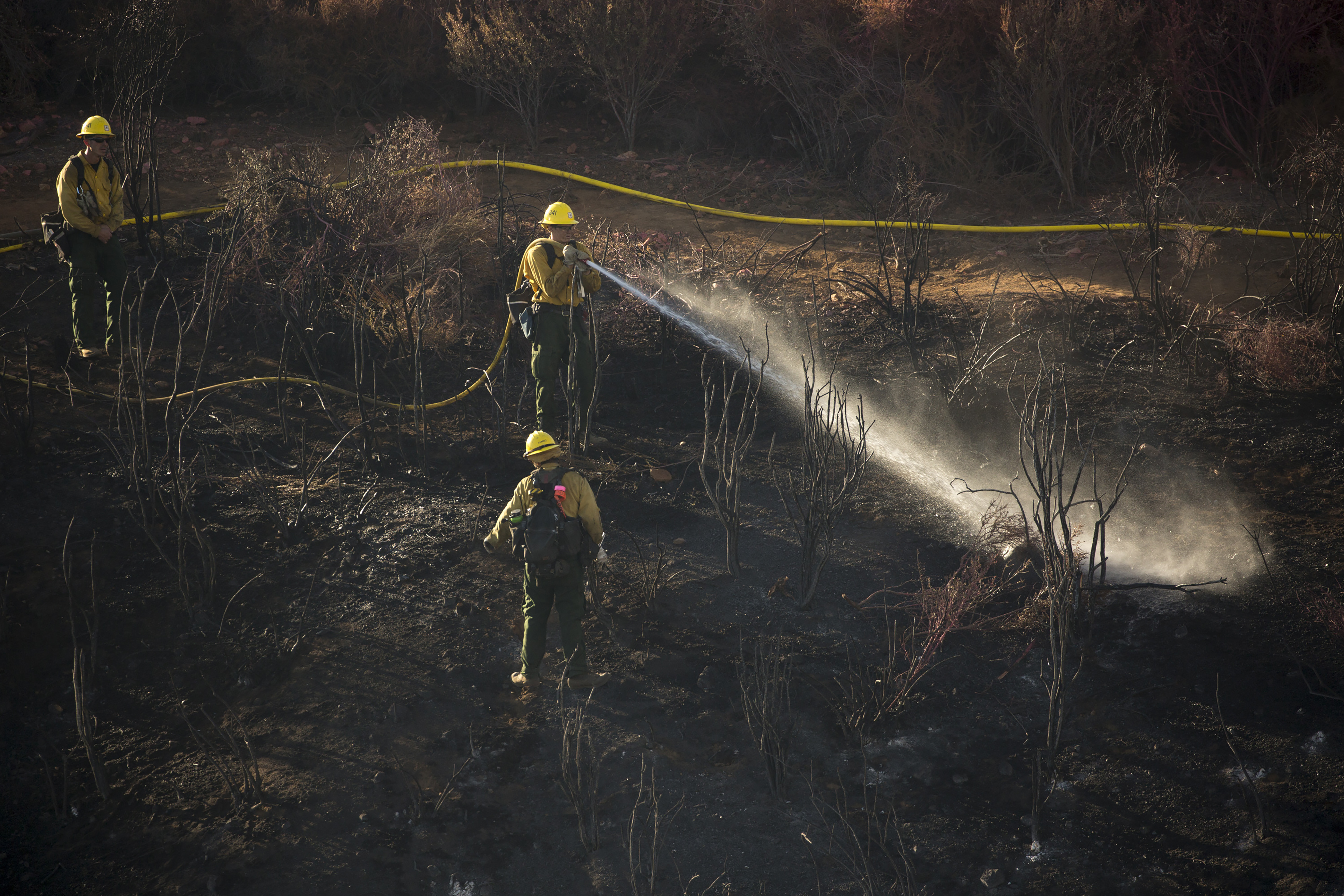 Hand crews work on the remaining hot spots from a brush fire at the Apple Fire in Cherry Valley, Calif., Saturday, Aug. 1, 2020. (AP Photo/Ringo H.W. Chiu)