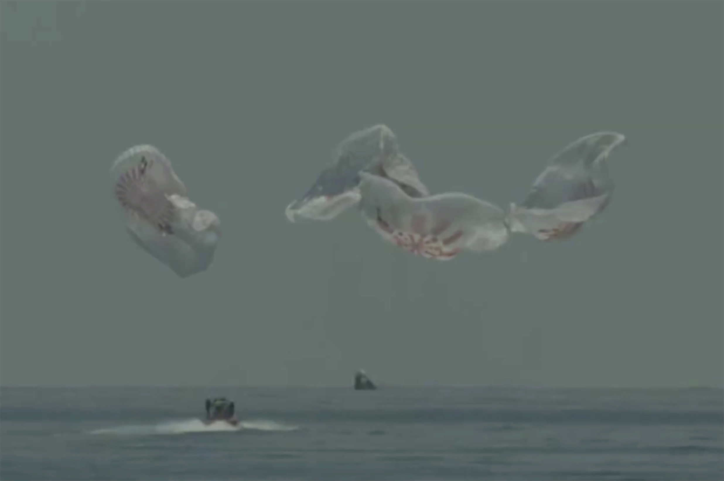 In this frame grab from NASA TV, the SpaceX capsule splashes down Sunday, Aug. 2, 2020 in the Gulf of Mexico.(NASA TV via AP)