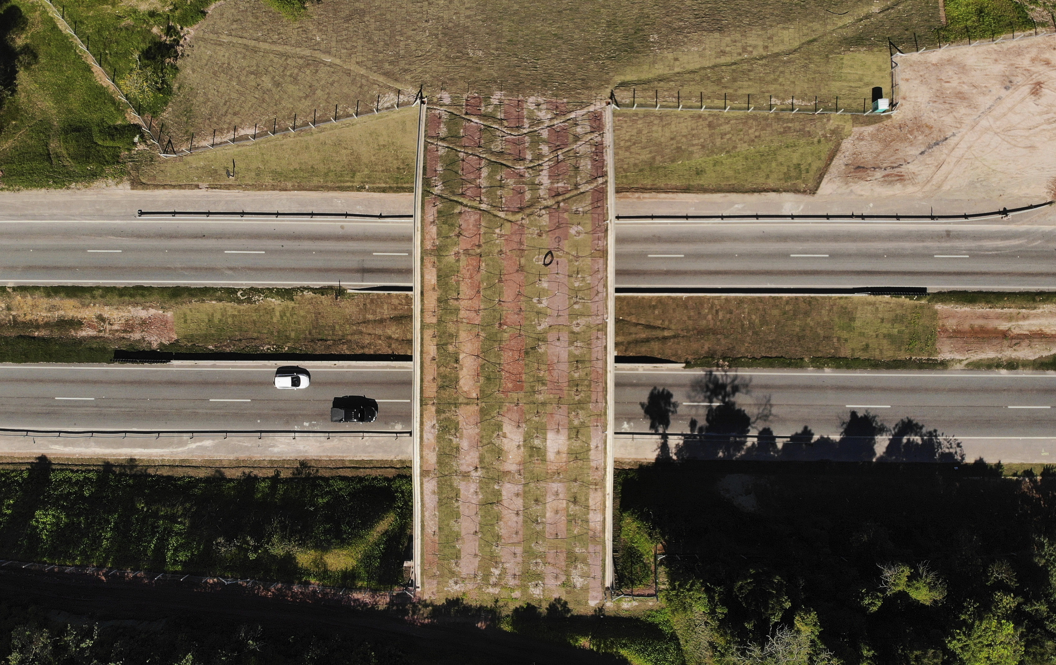 An eco-corridor for the endangered Golden Lion Tamarin crosses over an interstate highway in Silva Jardim, Rio de Janeiro, Brazil on Aug. 6, 2020. (AP Photo/Mario Lobao)