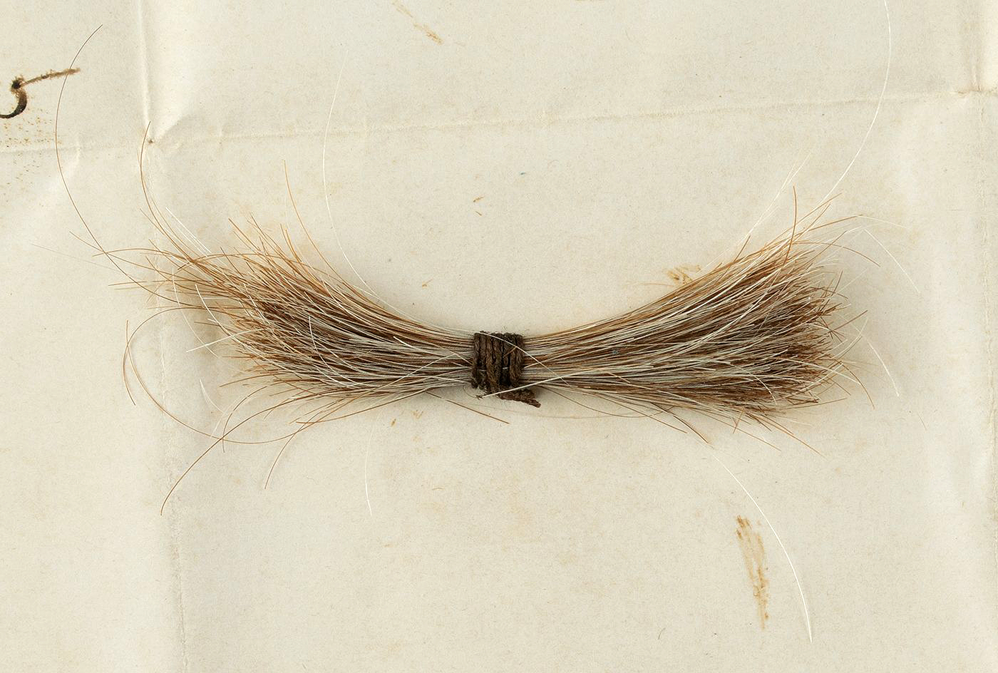 This July 2020 photo released by RR Auction shows a lock of hair from former President Abraham Lincoln, to be auctioned Sept. 12, 2020, by the Boston-based auction firm. The lock of hair was removed during Lincoln's postmortem examination in April 1865 after he was fatally shot by John Wilkes Booth at Ford's Theatre in Washington. (Nikki Brickett/RR Auction via AP)