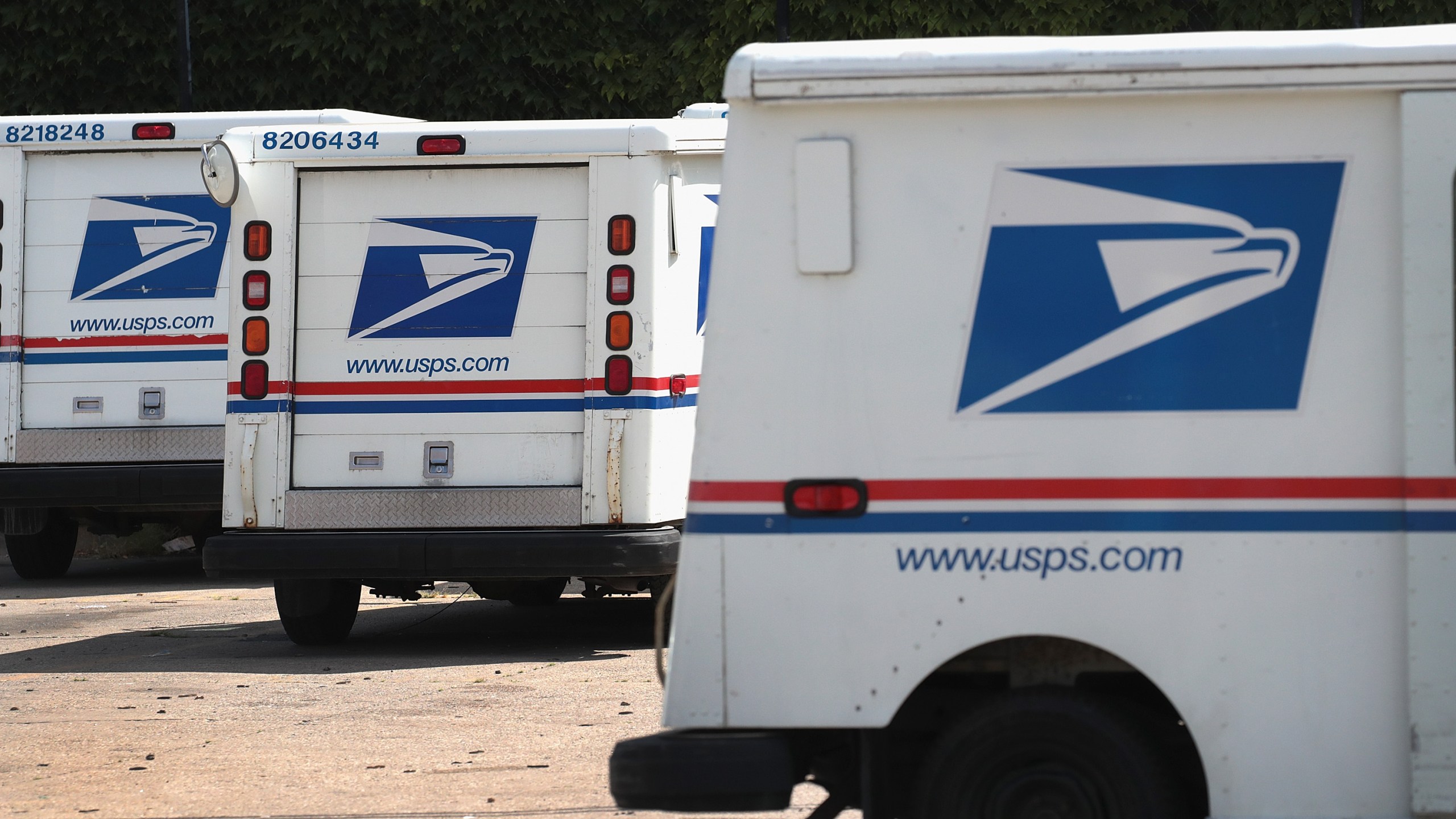 United States Postal Service (USPS) trucks are parked at a postal facility on August 15, 2019. In its recent quarterly statement the USPS reported a loss of nearly $2.3 billion and a 3.2 percent decline in package deliveries, the first decline in nearly a decade. (Scott Olson/Getty Images)